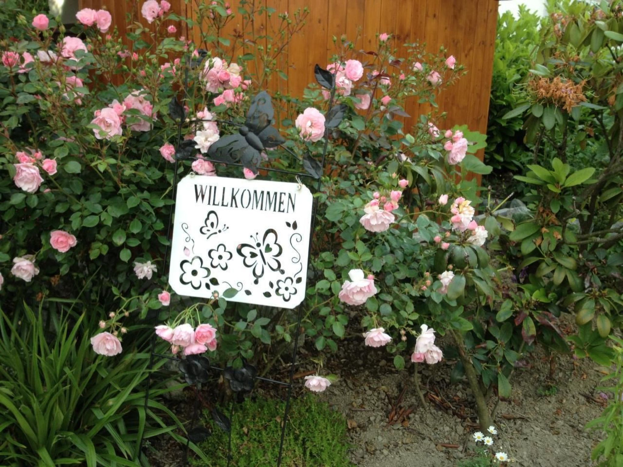 Haus Schnurbus-Binnen