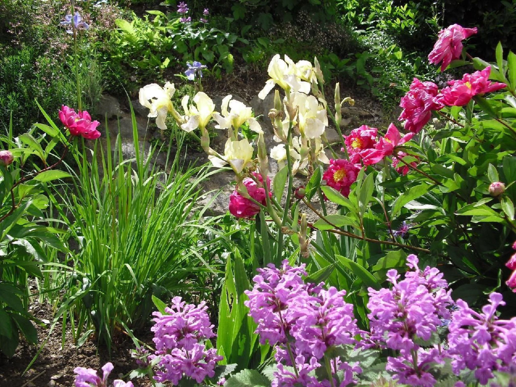 Haus Schnurbus-Binnen