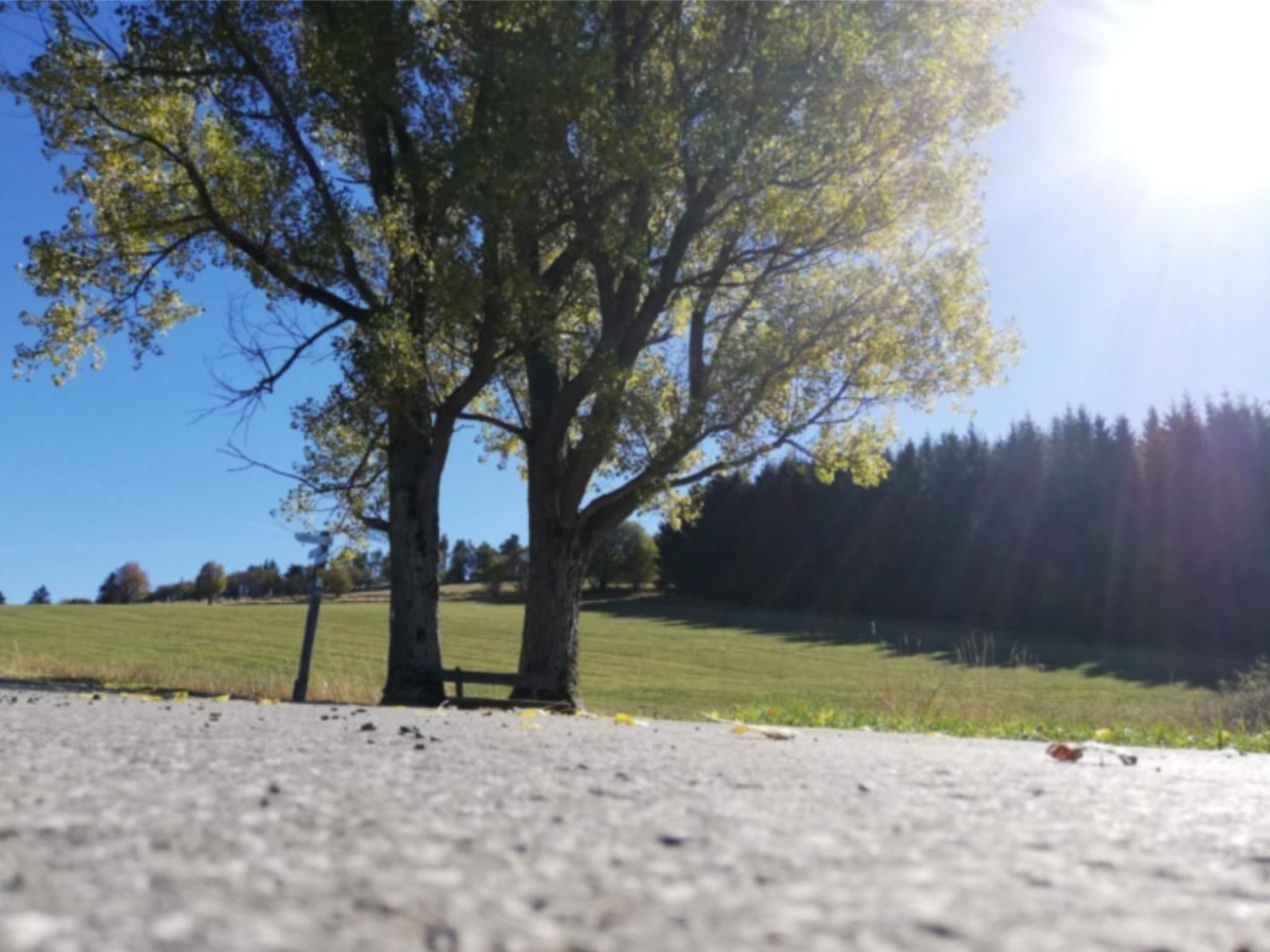 Haus Schnurbus-Binnen