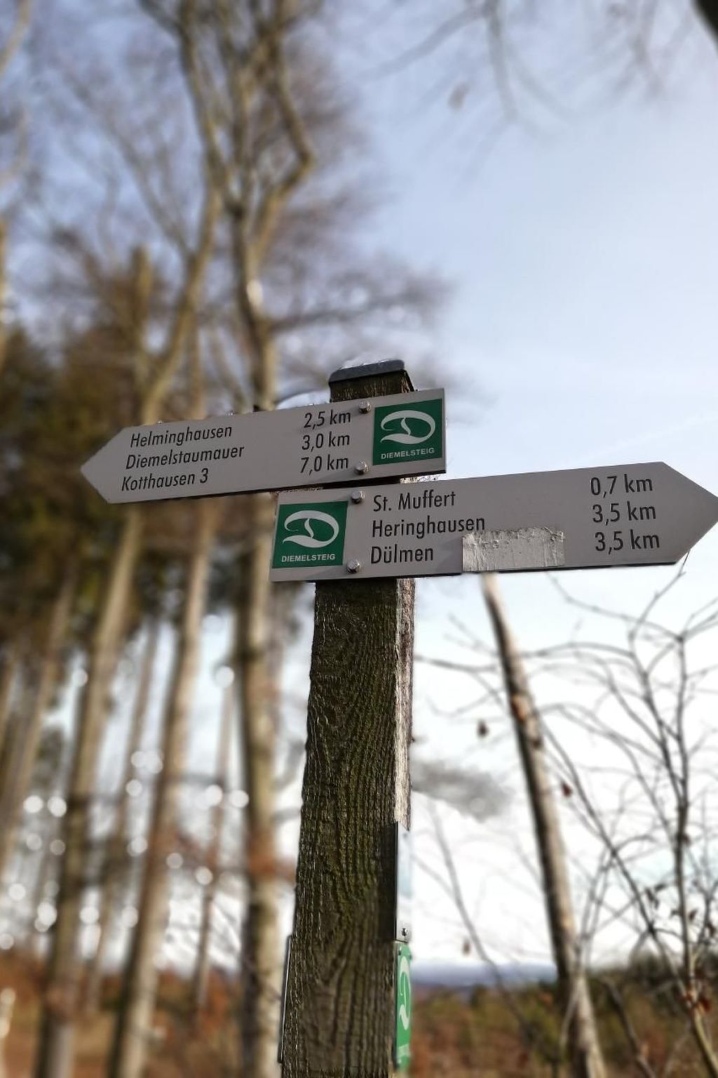 Haus Schnurbus-Binnen