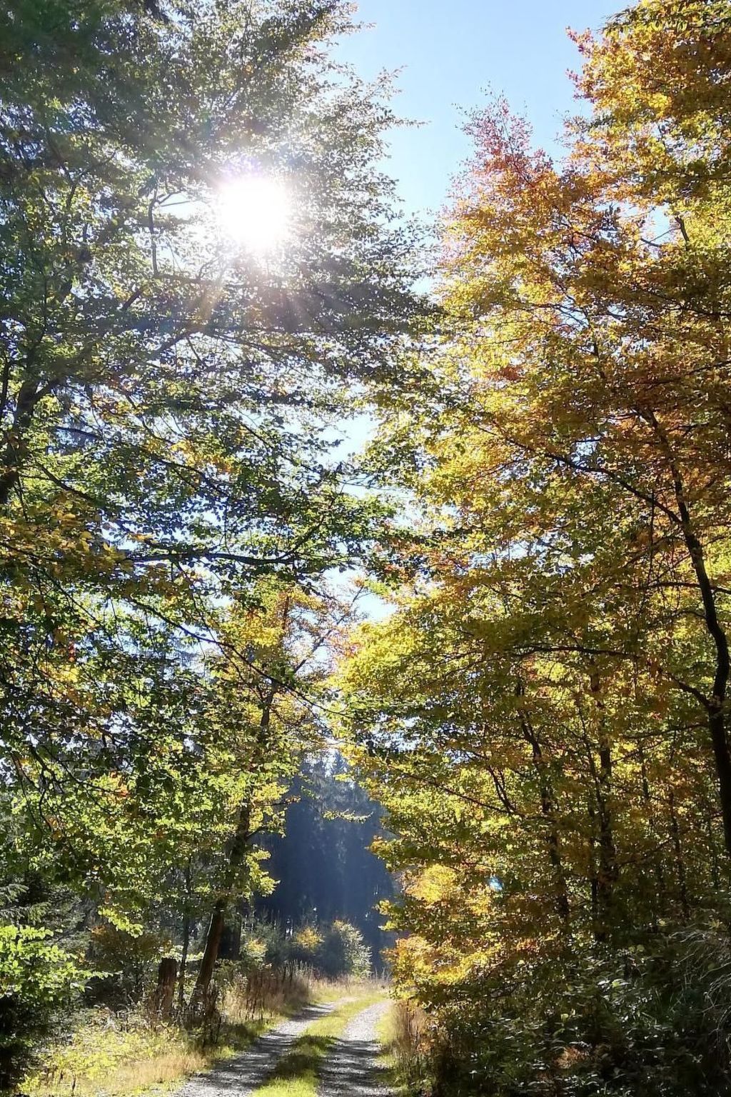 Haus Schnurbus-Binnen