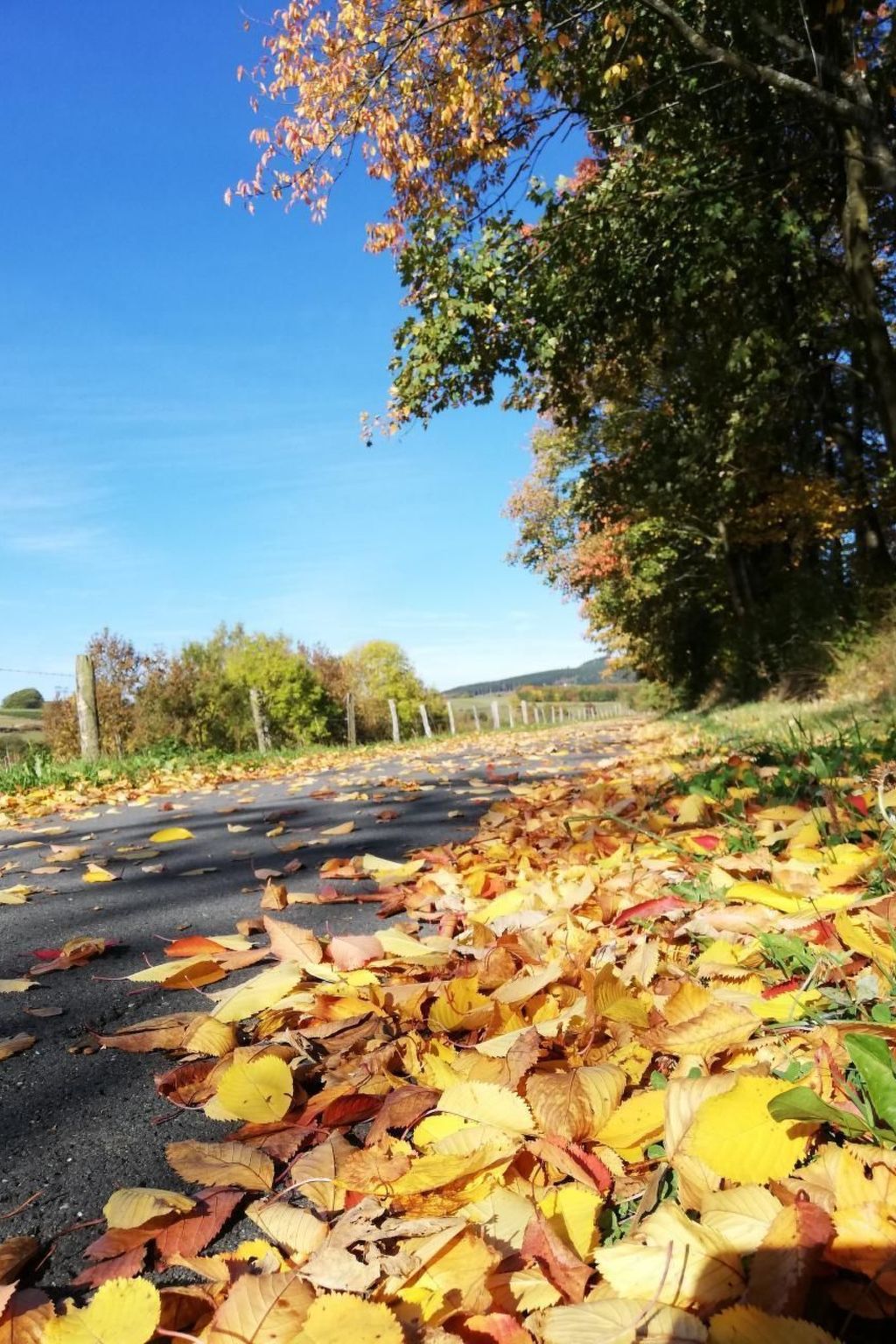 Haus Schnurbus-Binnen