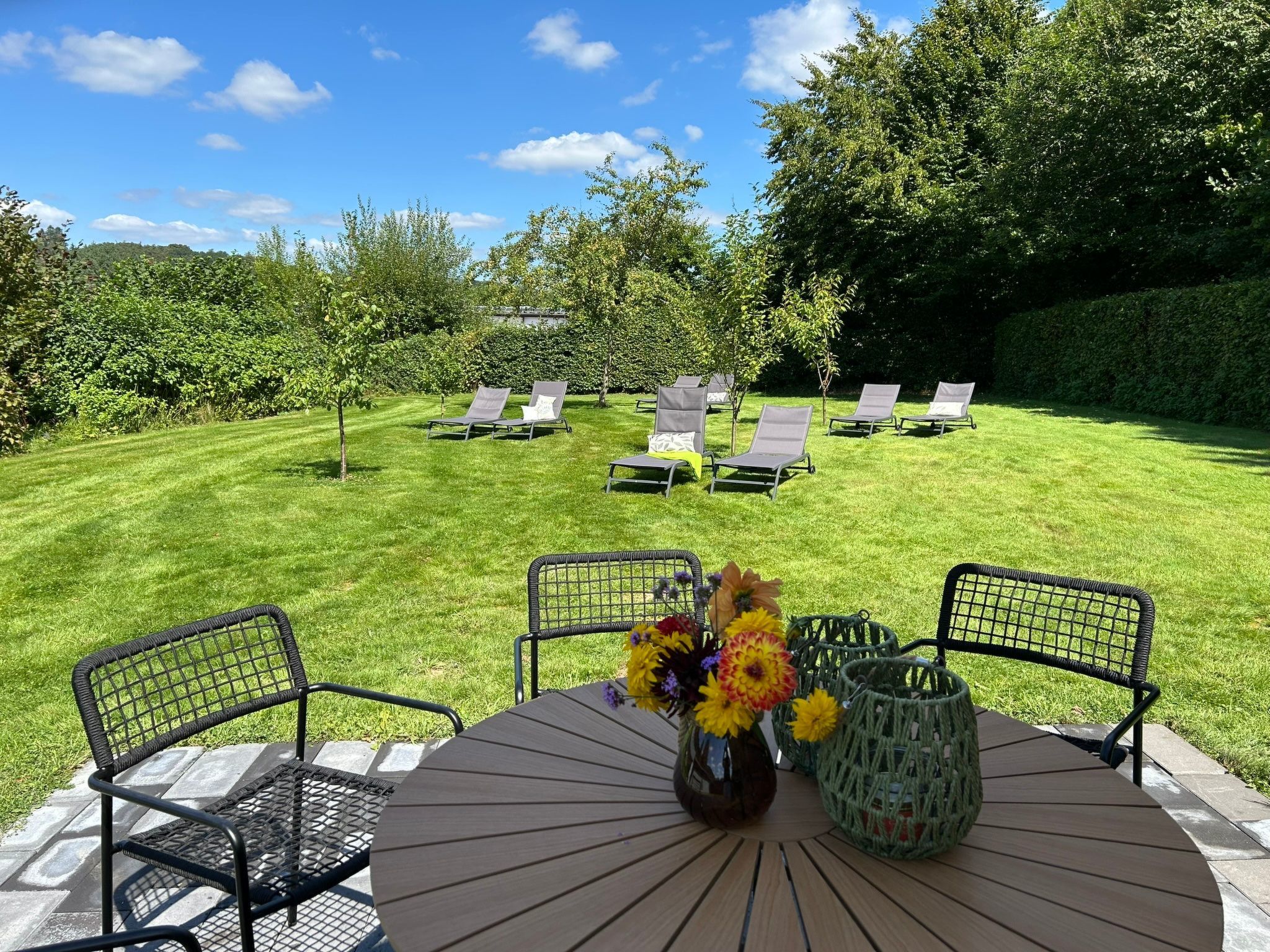 ZH 10-Image-tags.info