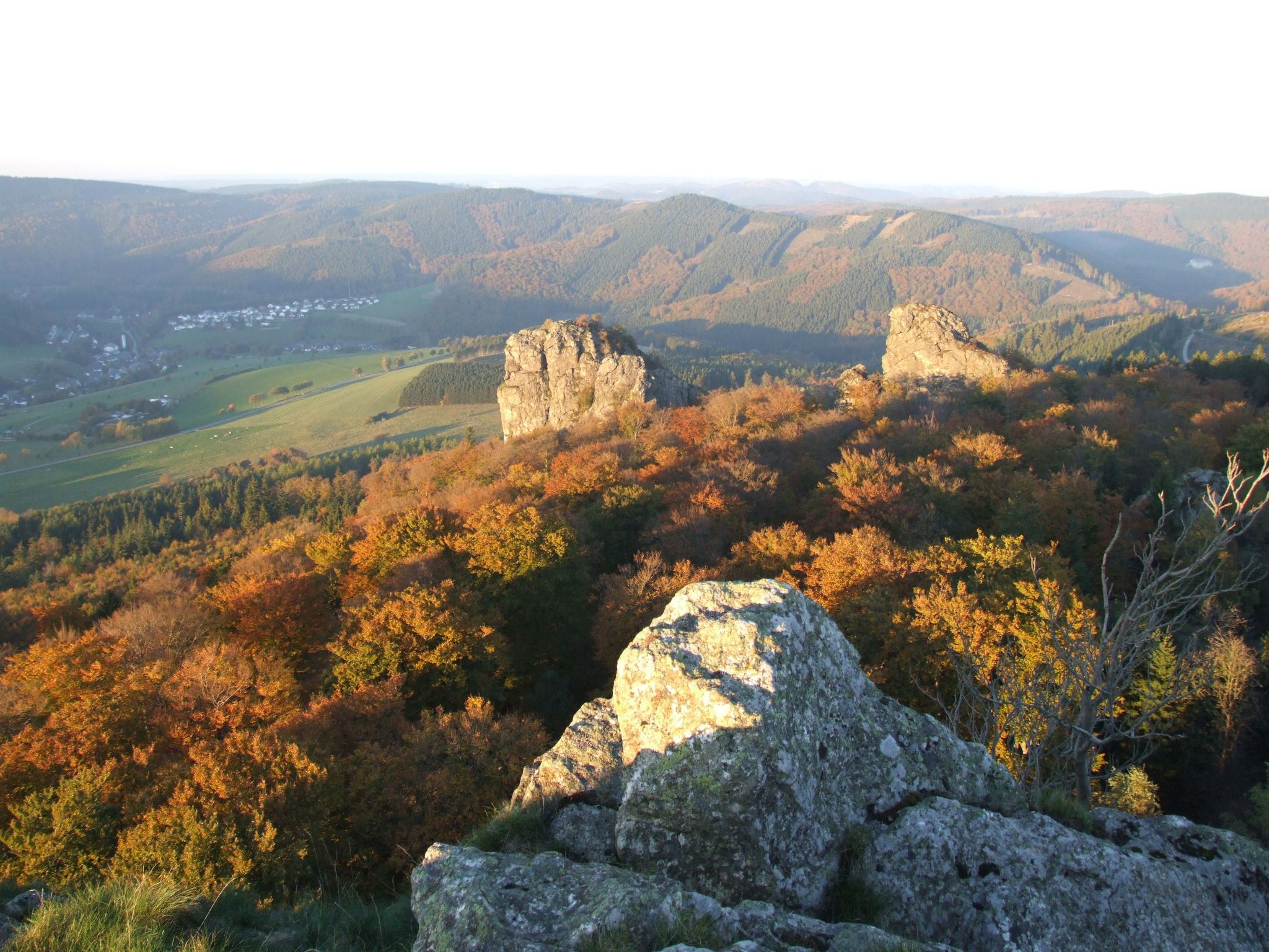 ZH 10-Image-tags.info