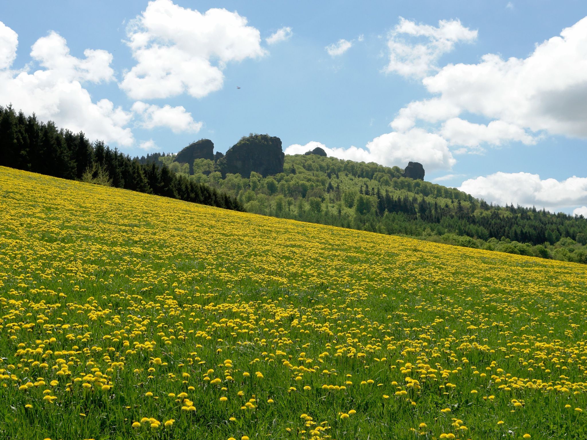 ZH 10-Image-tags.info