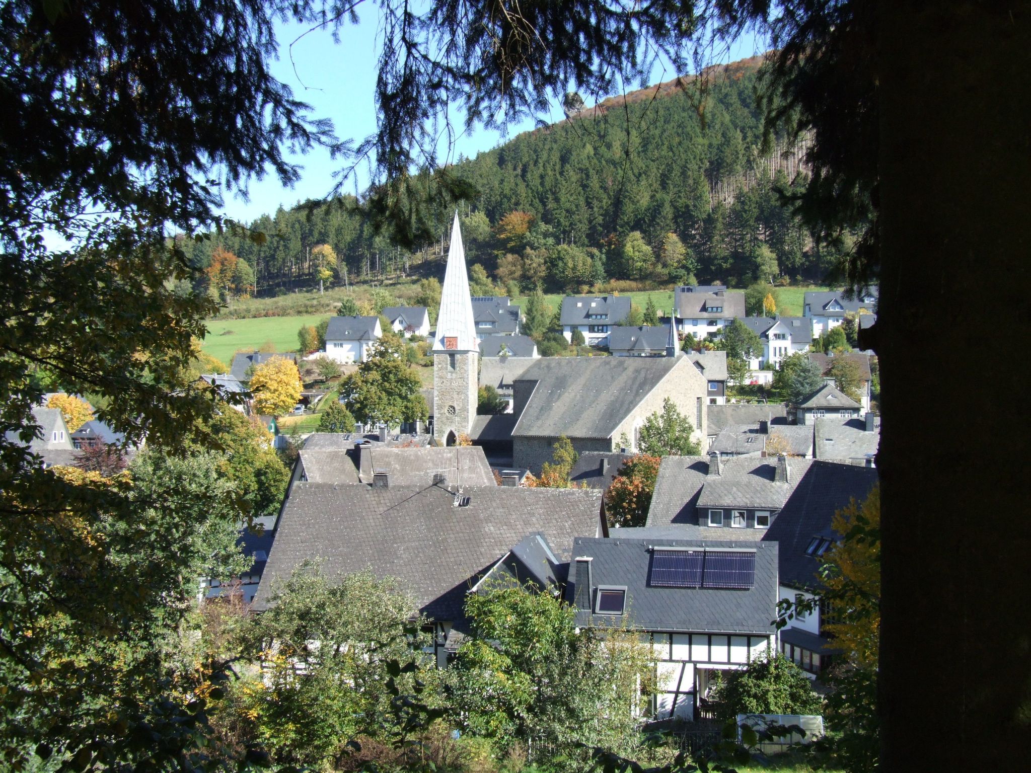 ZH 10-Image-tags.info