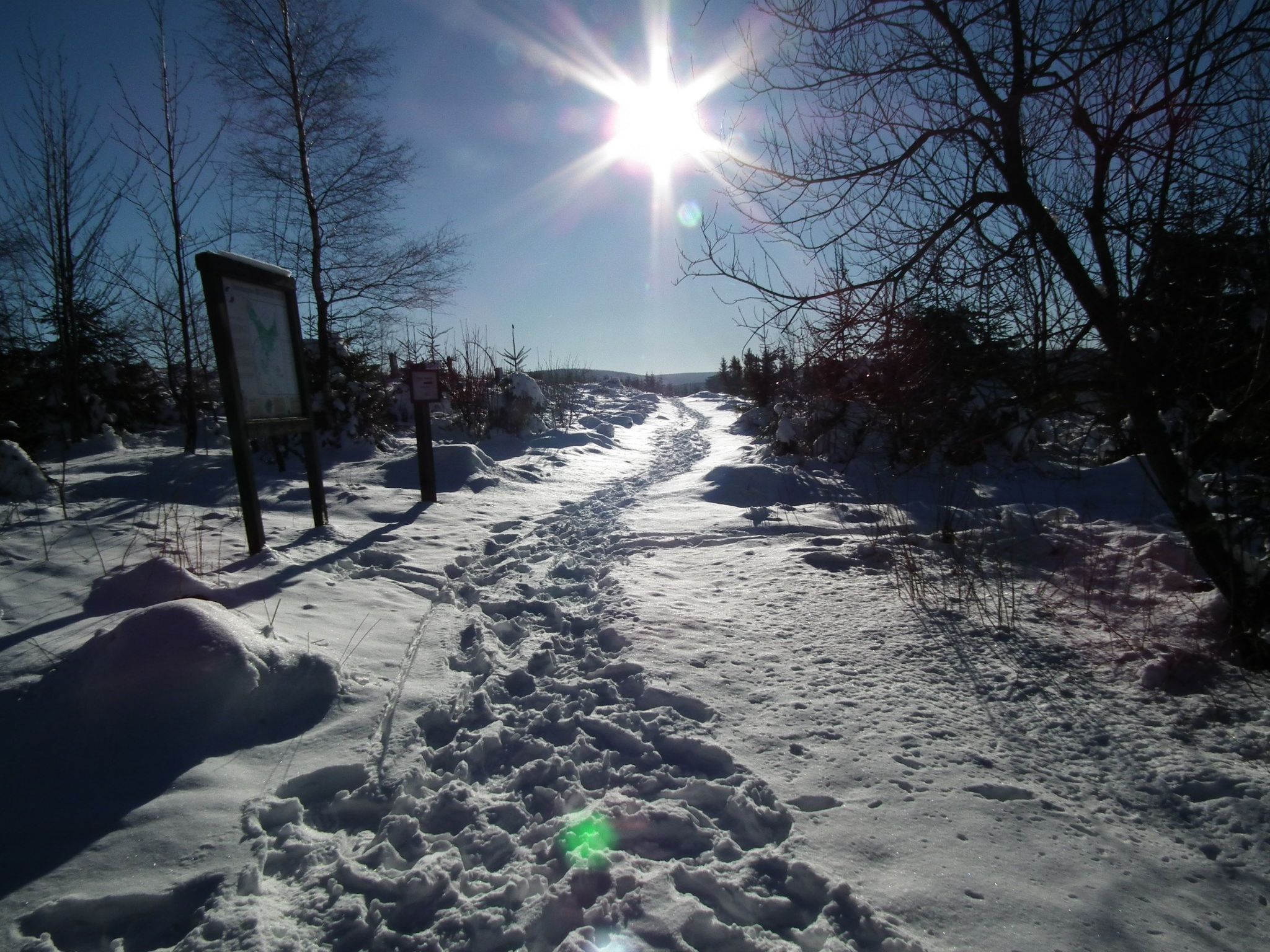 ZH 10-Image-tags.info