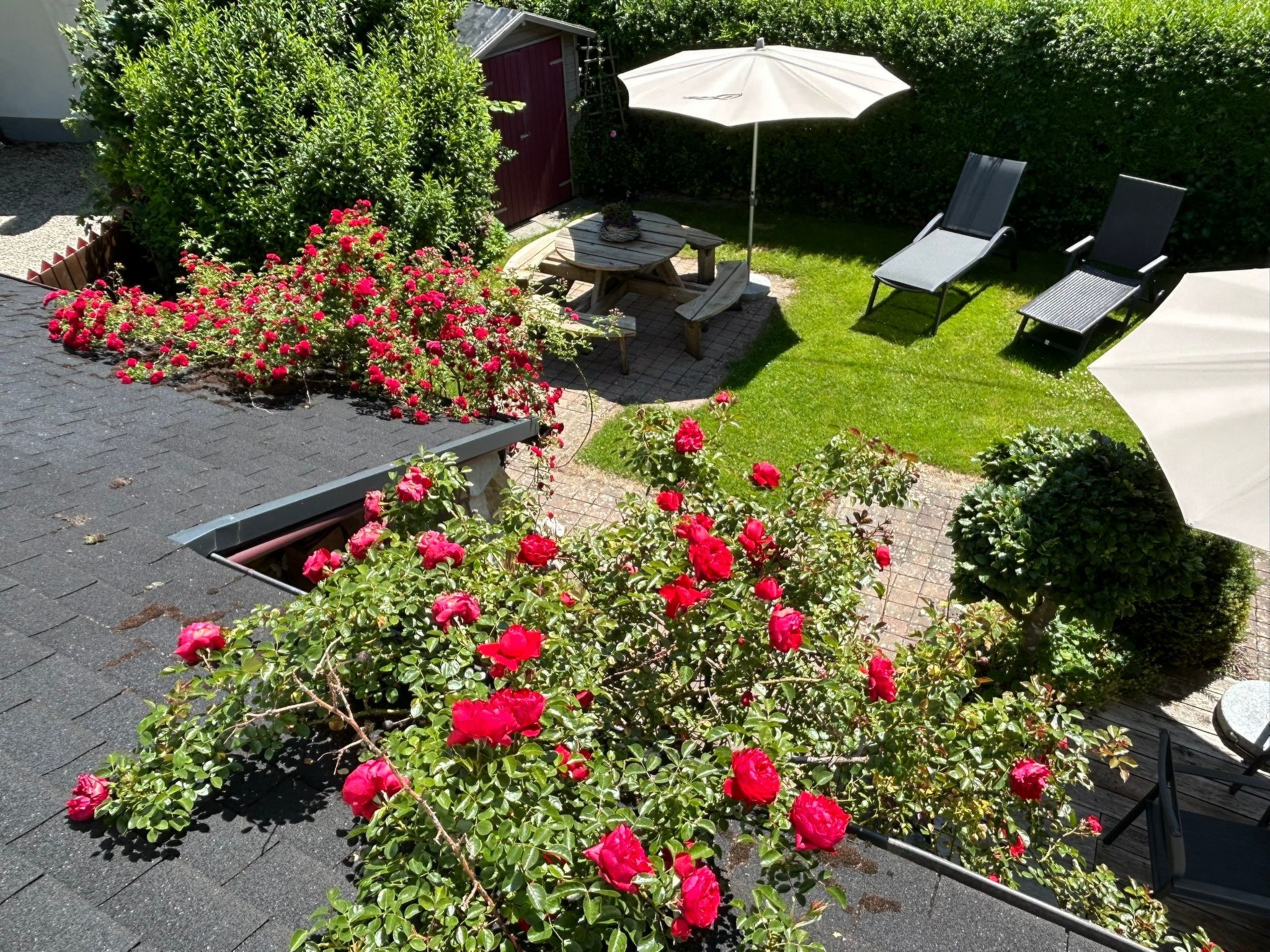 Fachwerkliebe-Image-tags.info