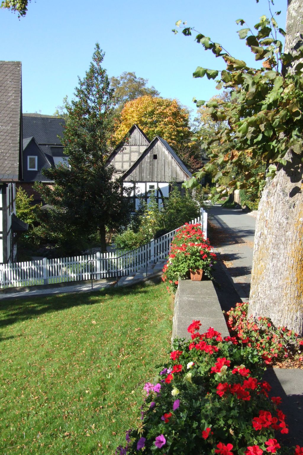 Fachwerkliebe-Image-tags.info