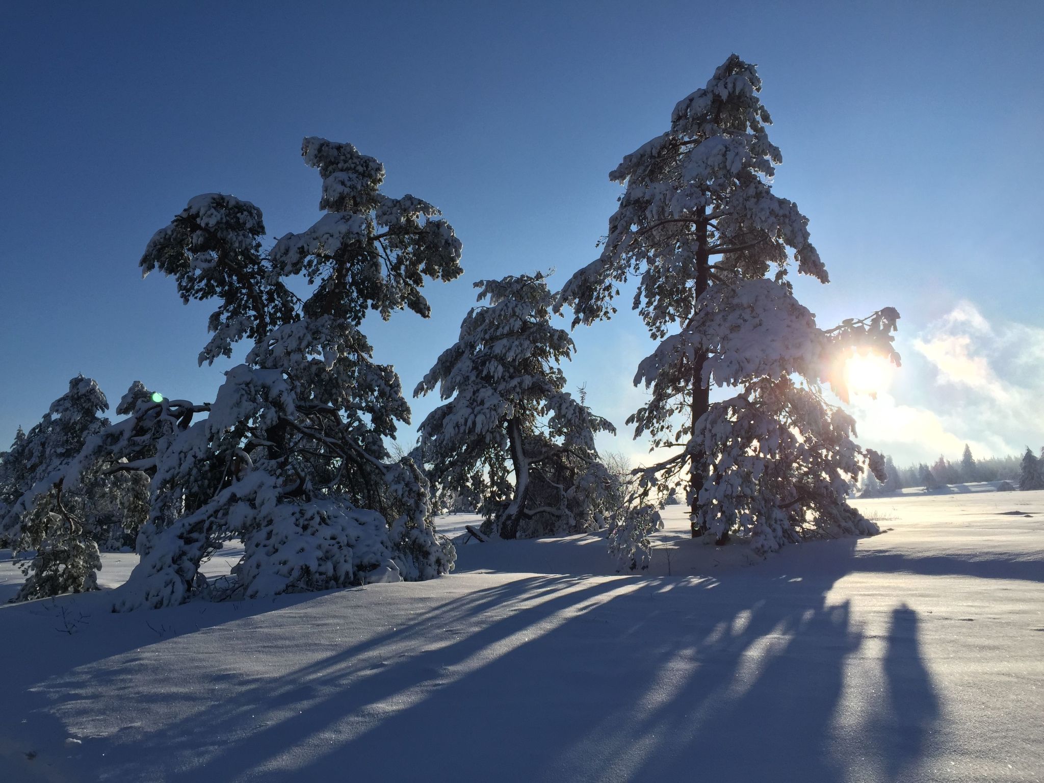 Fachwerkliebe-Image-tags.info