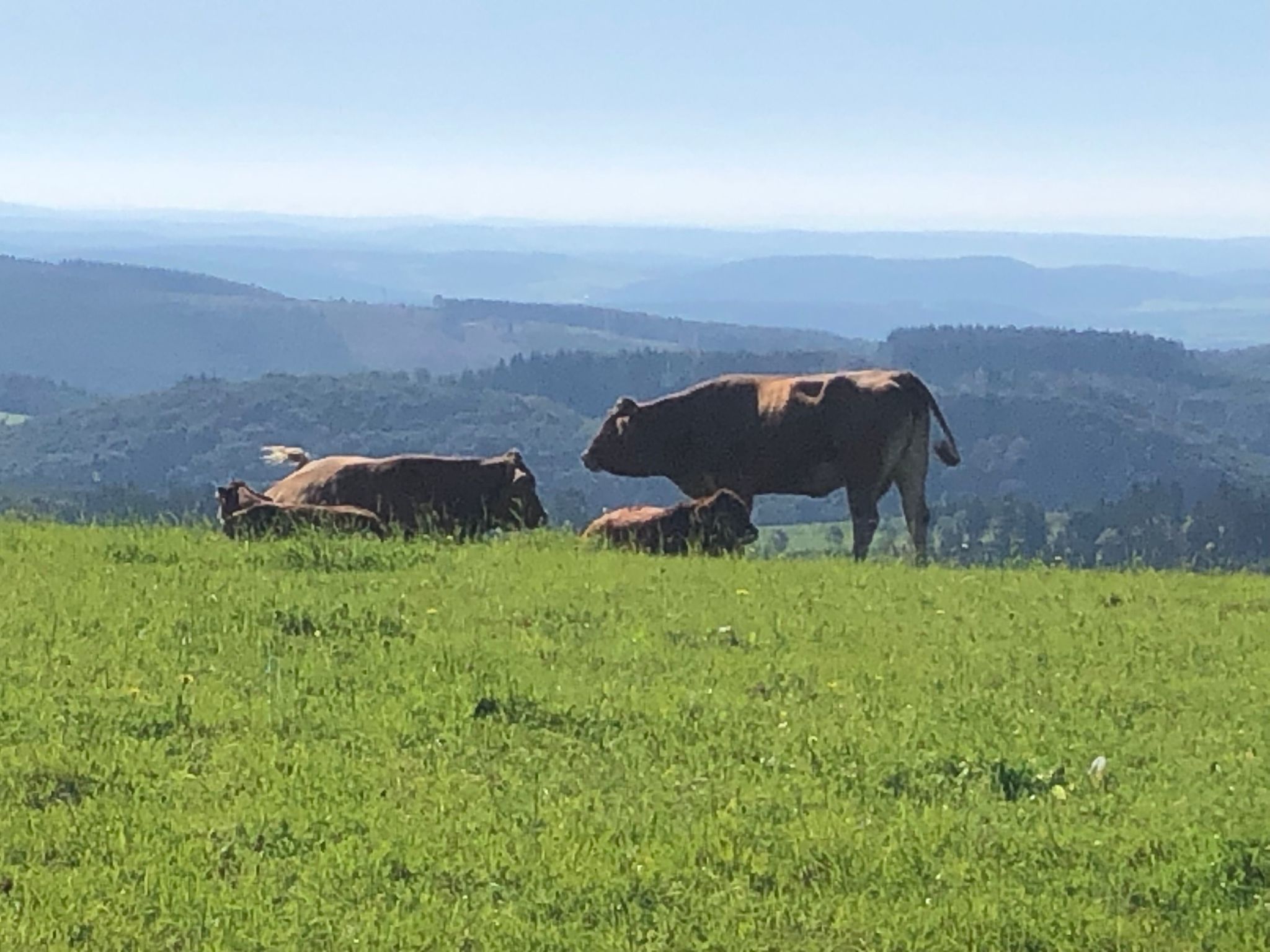 Fachwerkliebe-Image-tags.info