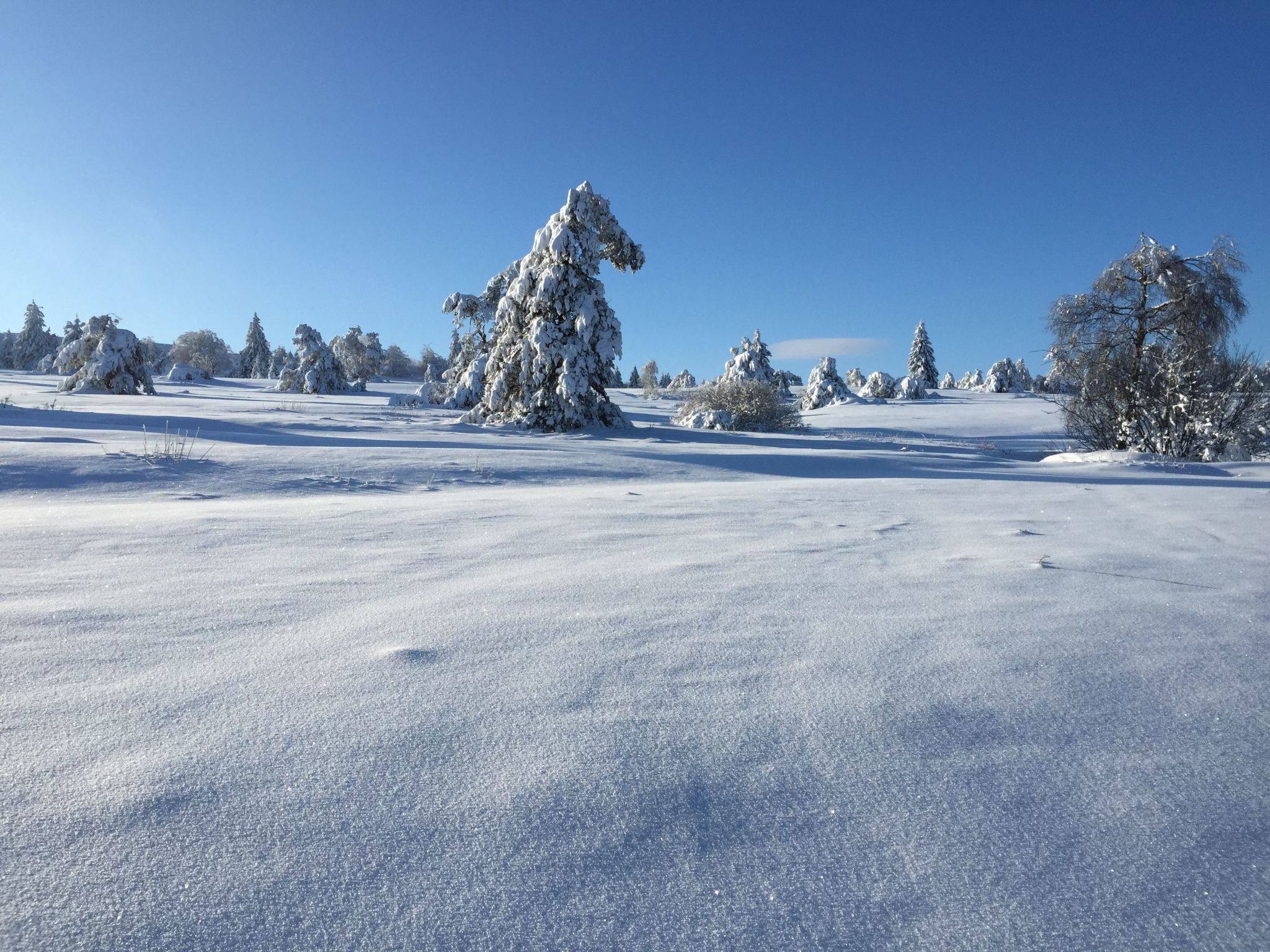 Fachwerkliebe-Image-tags.info