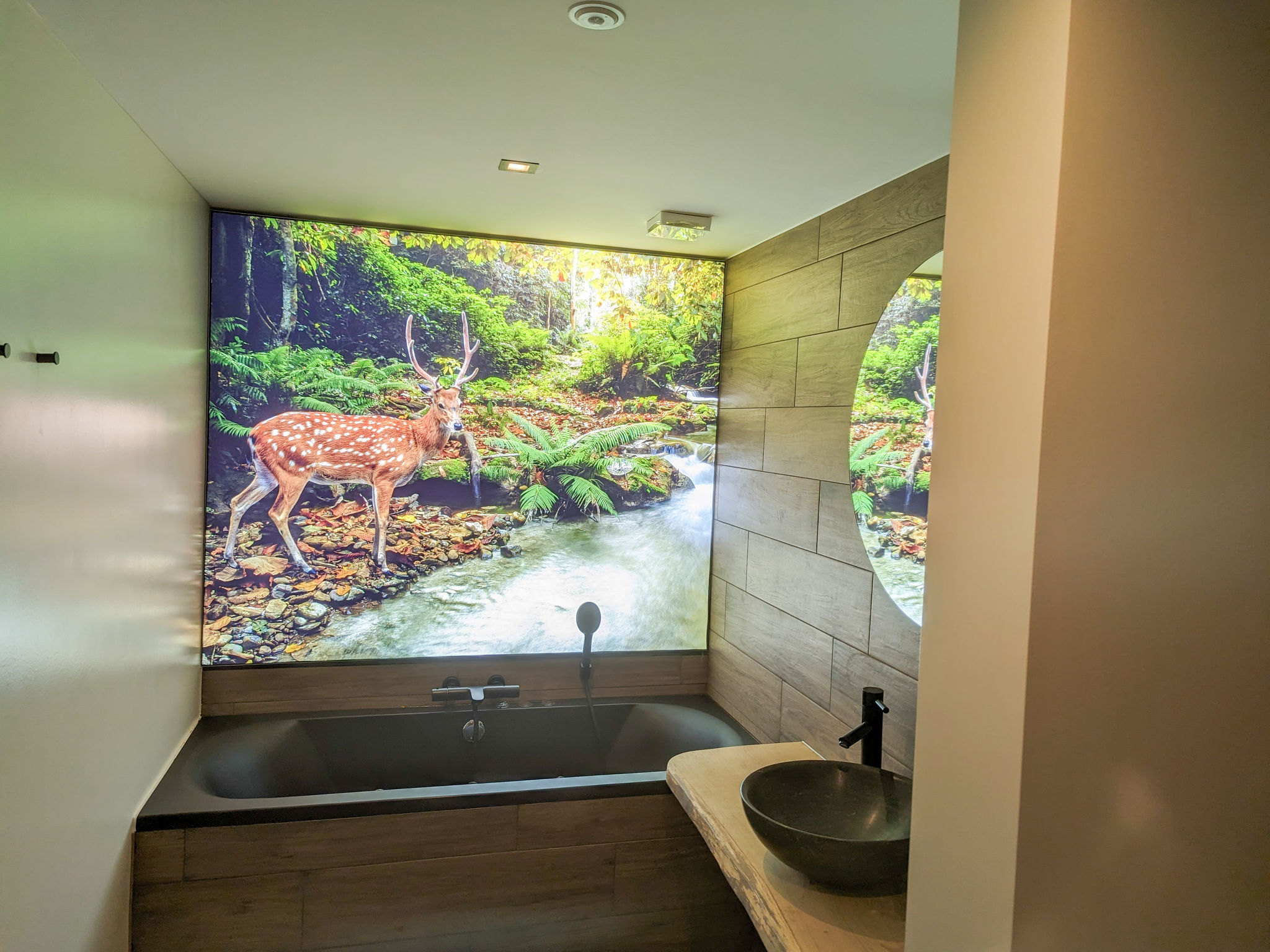 Holiday Rental Accommodation