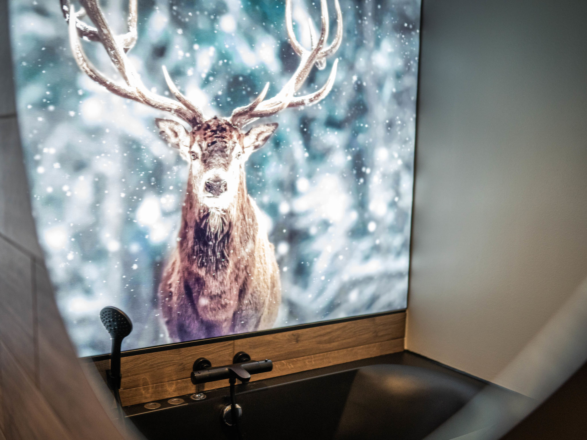 Holiday Rental Accommodation