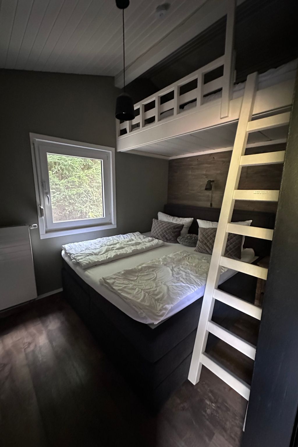 Bergwild-Image-tags.info