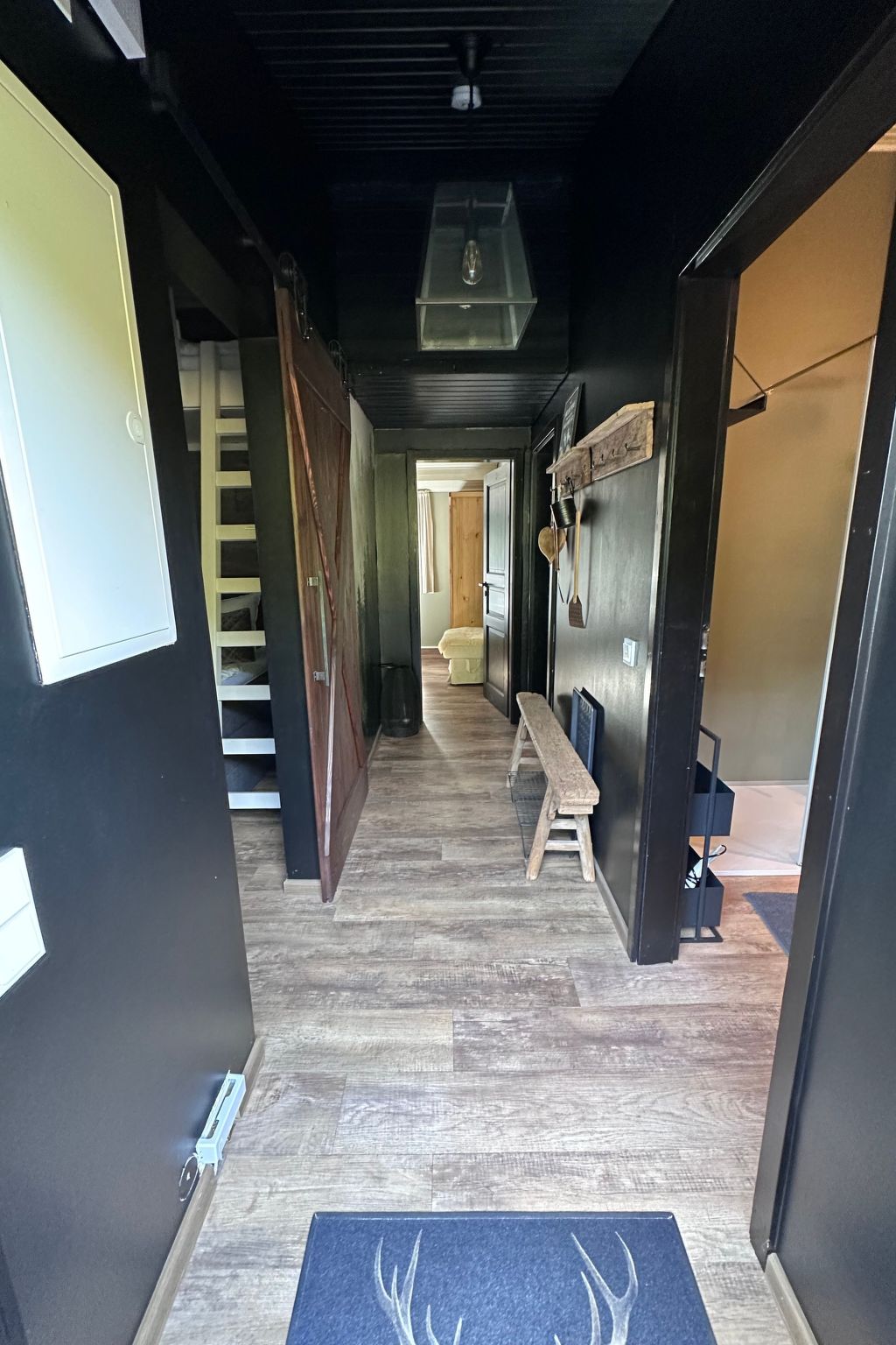 Bergwild-Image-tags.info