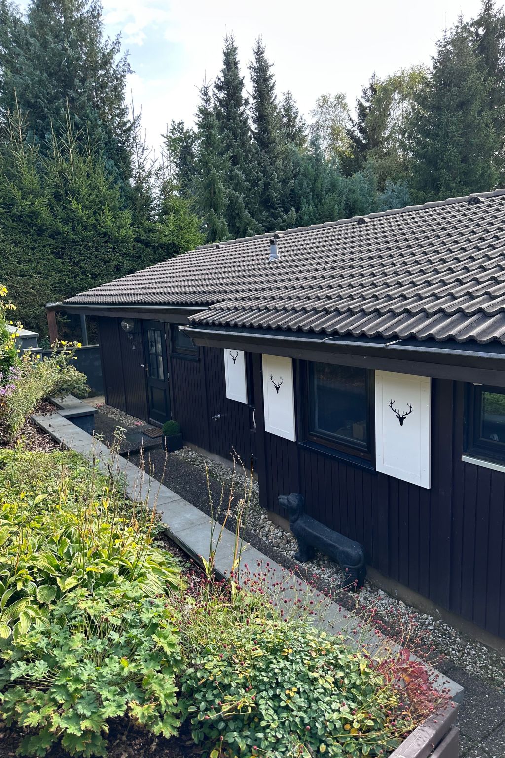 Bergwild-Image-tags.info