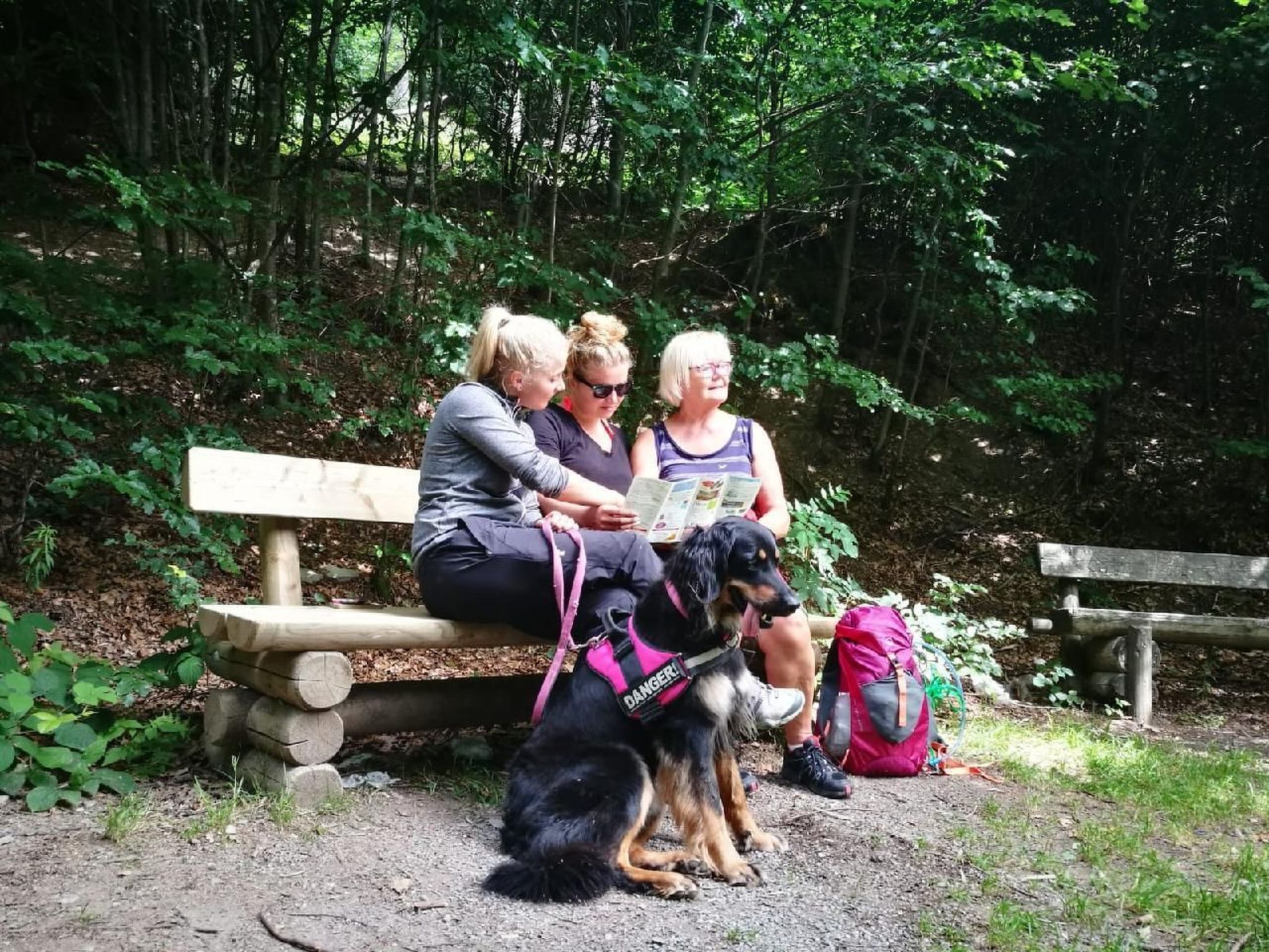 Berg- und Seeblick am Hillebachsee-Binnen