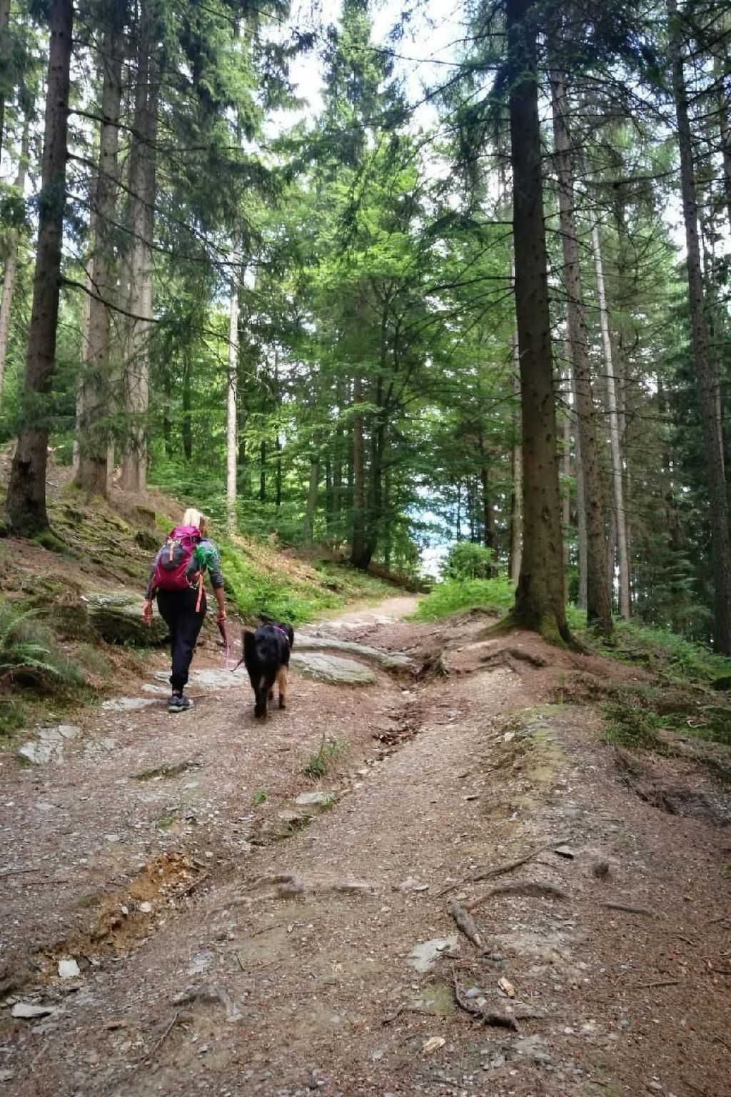Berg- und Seeblick am Hillebachsee-Binnen