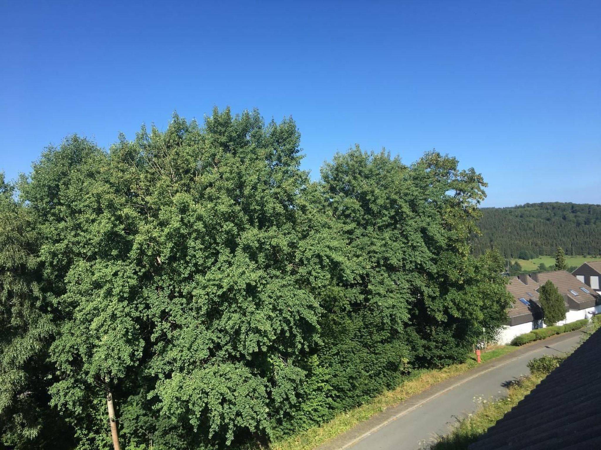 Berg- und Seeblick am Hillebachsee-Binnen