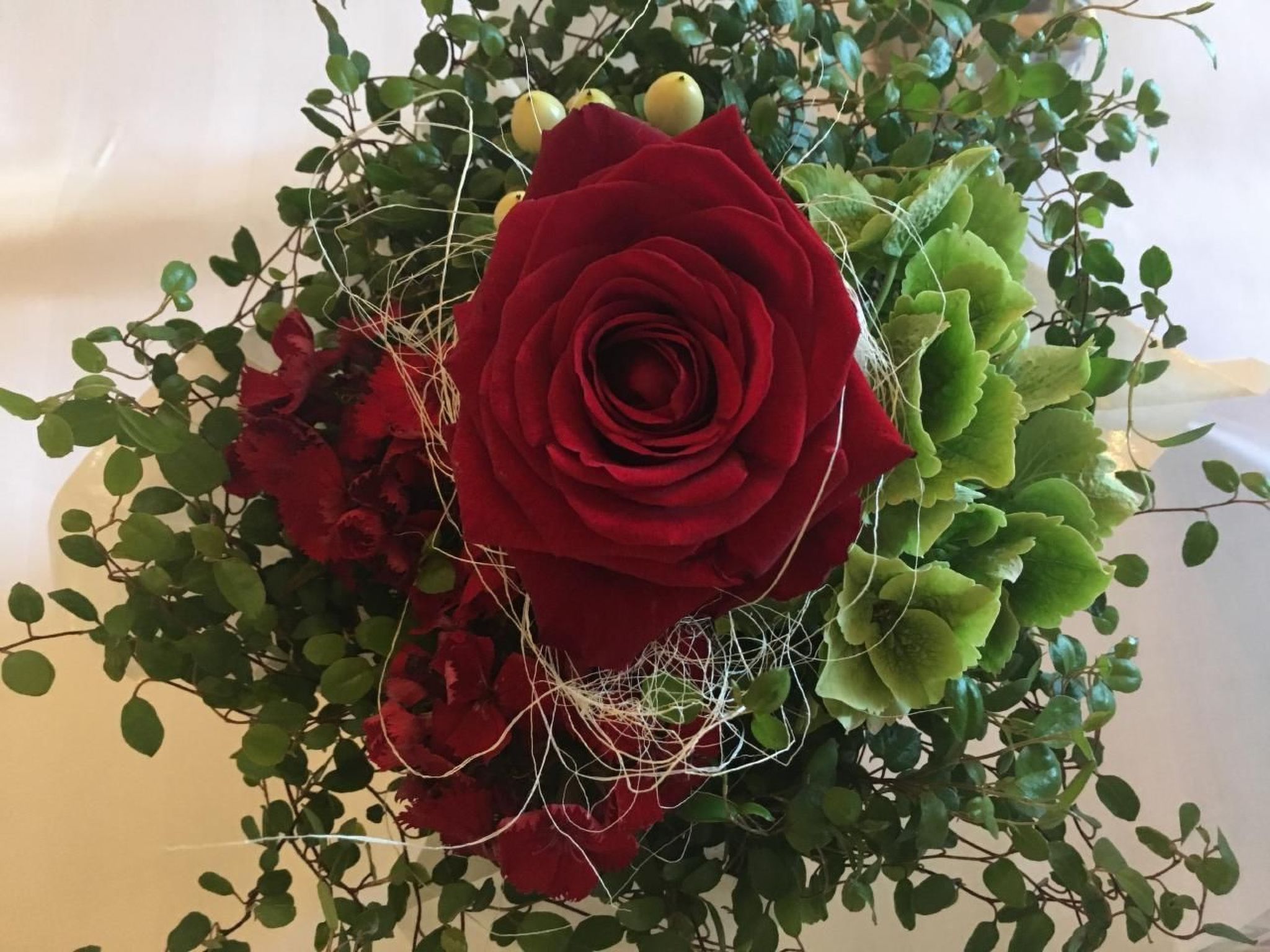 Berg- und Seeblick am Hillebachsee-Binnen