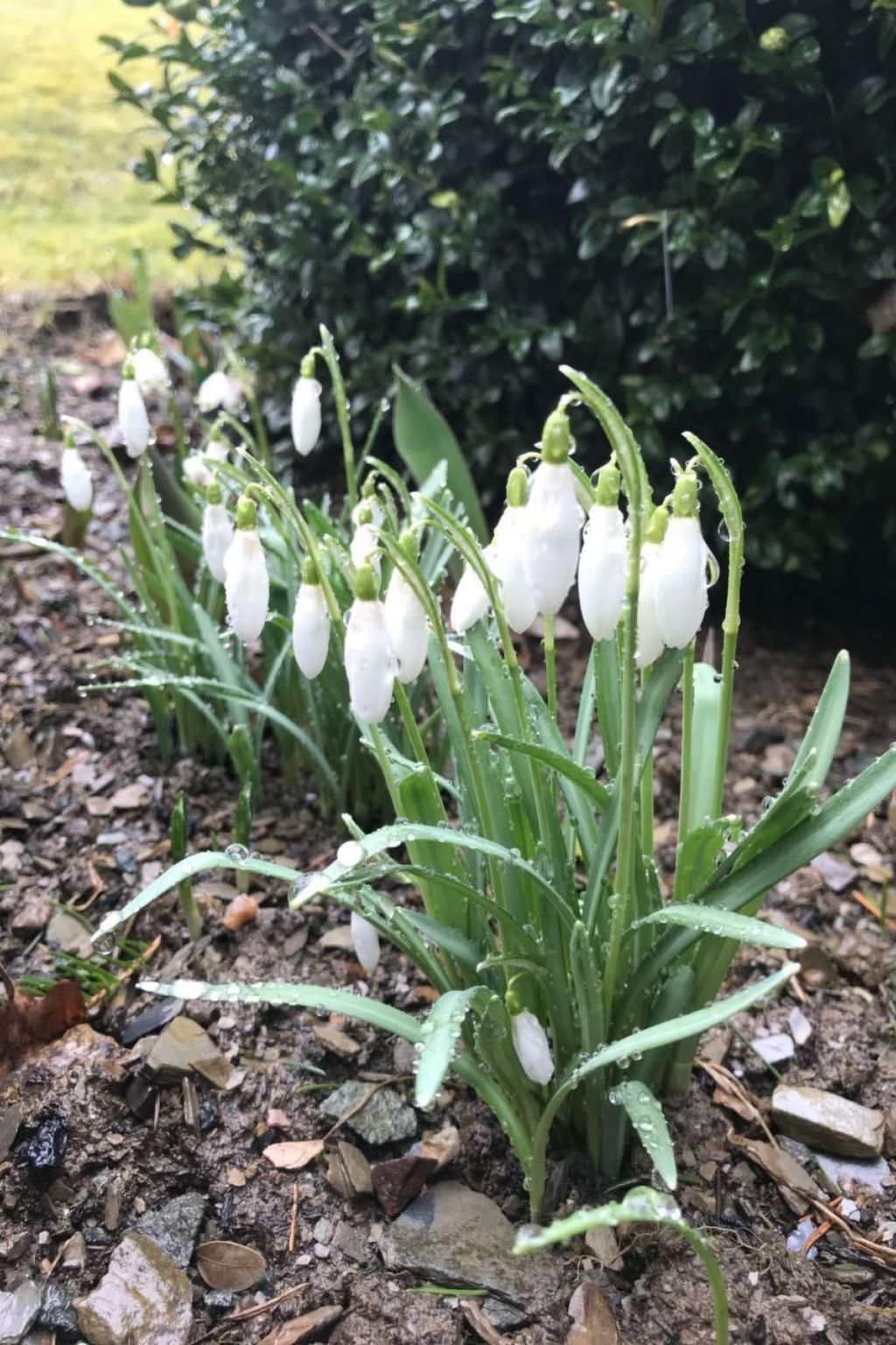 Berg- und Seeblick am Hillebachsee-Binnen