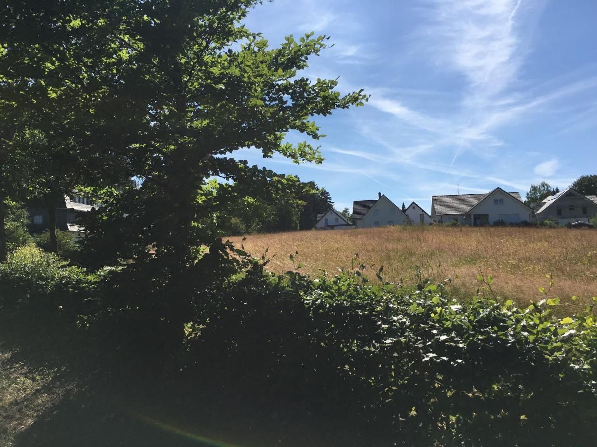 Berg- und Seeblick am Hillebachsee-Binnen