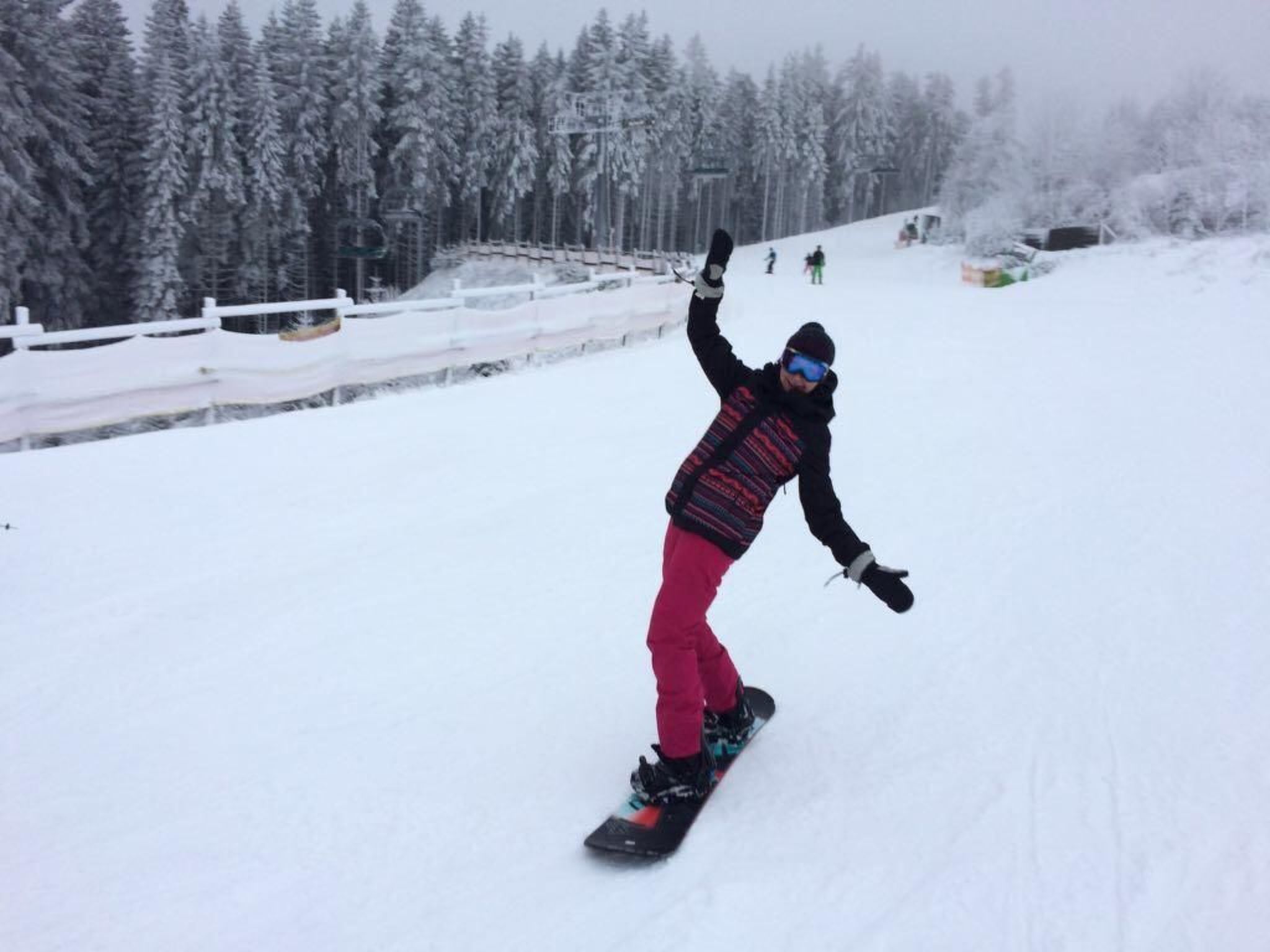 Berg- und Seeblick am Hillebachsee-Binnen