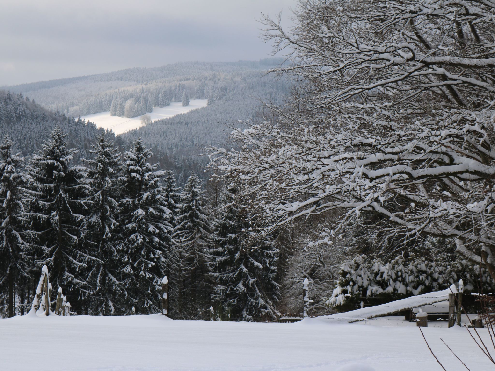 Suedhang-Image-tags.info