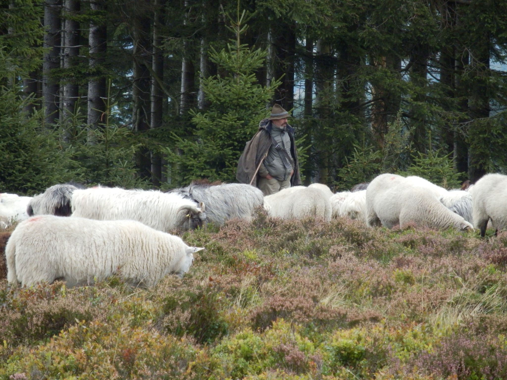Mit privatem Balkon-Drinnen