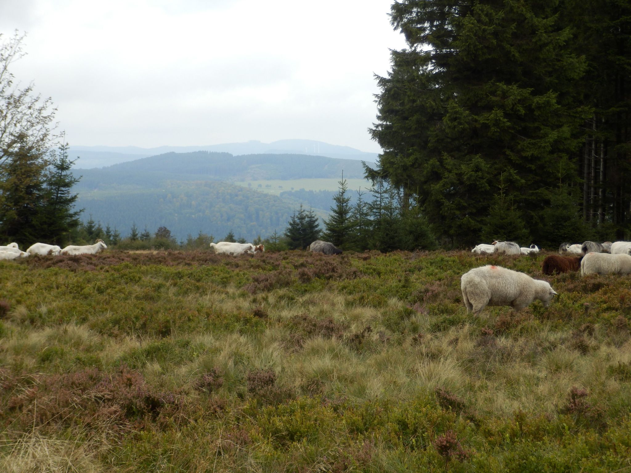 Mit privatem Balkon-Drinnen