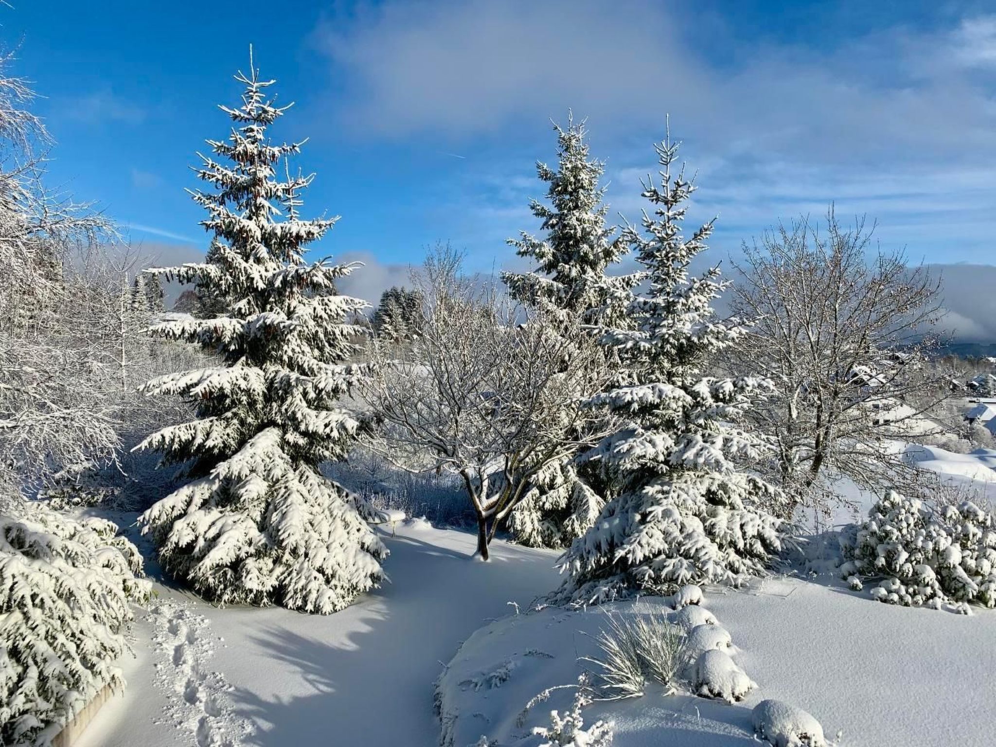 Haus Schneekappe-Image-tags.info