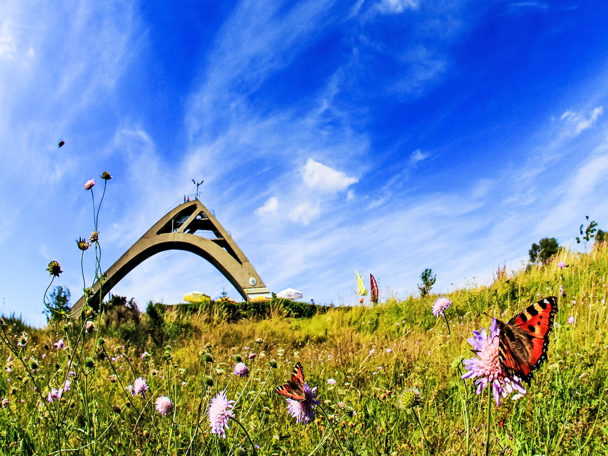 Holiday Rental Accommodation