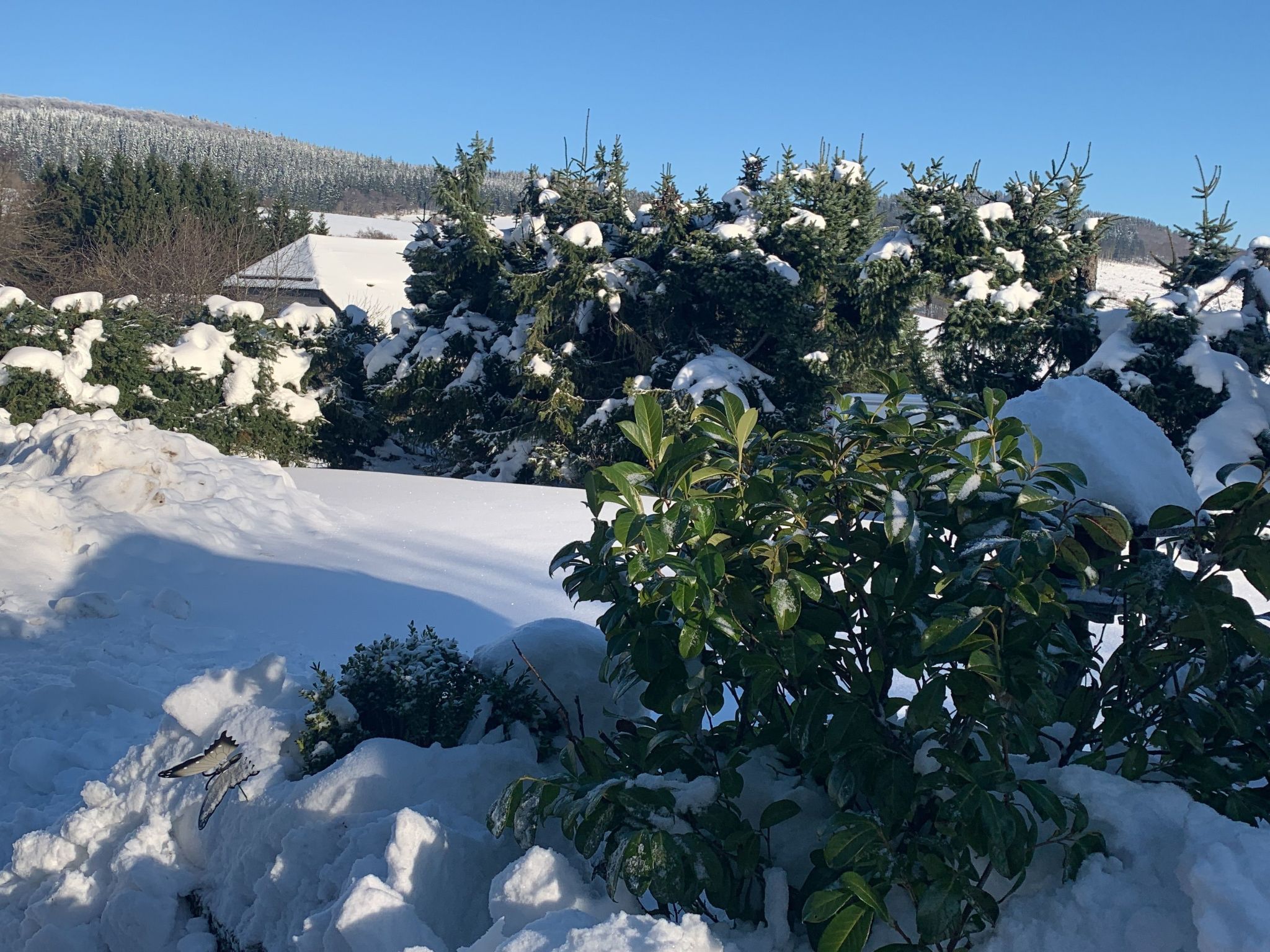 Mit eigener Terrasse-Drinnen