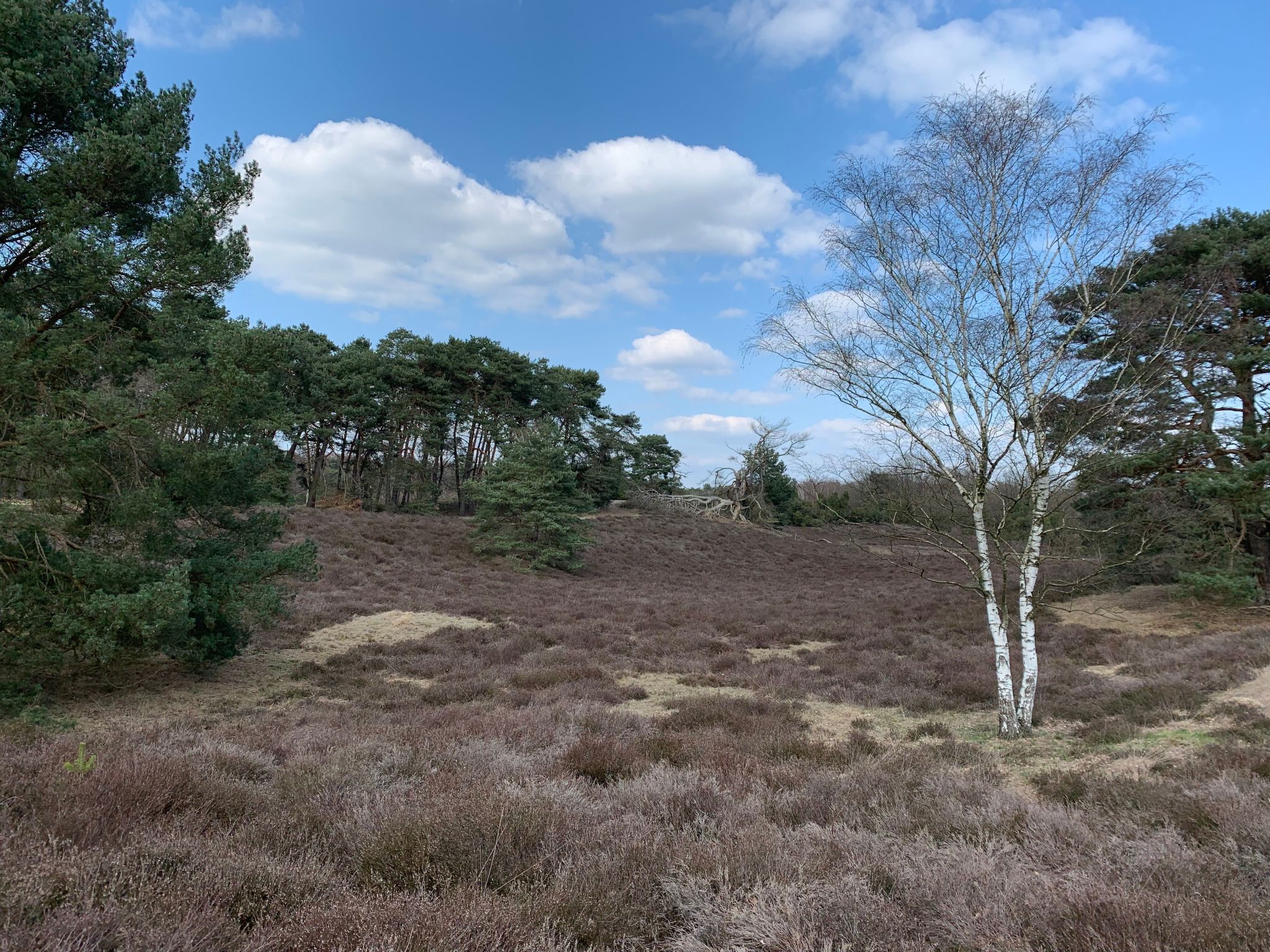 Mit eigener Terrasse-Drinnen