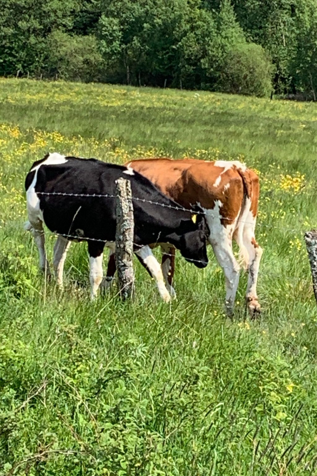 Mit eigener Terrasse-Drinnen