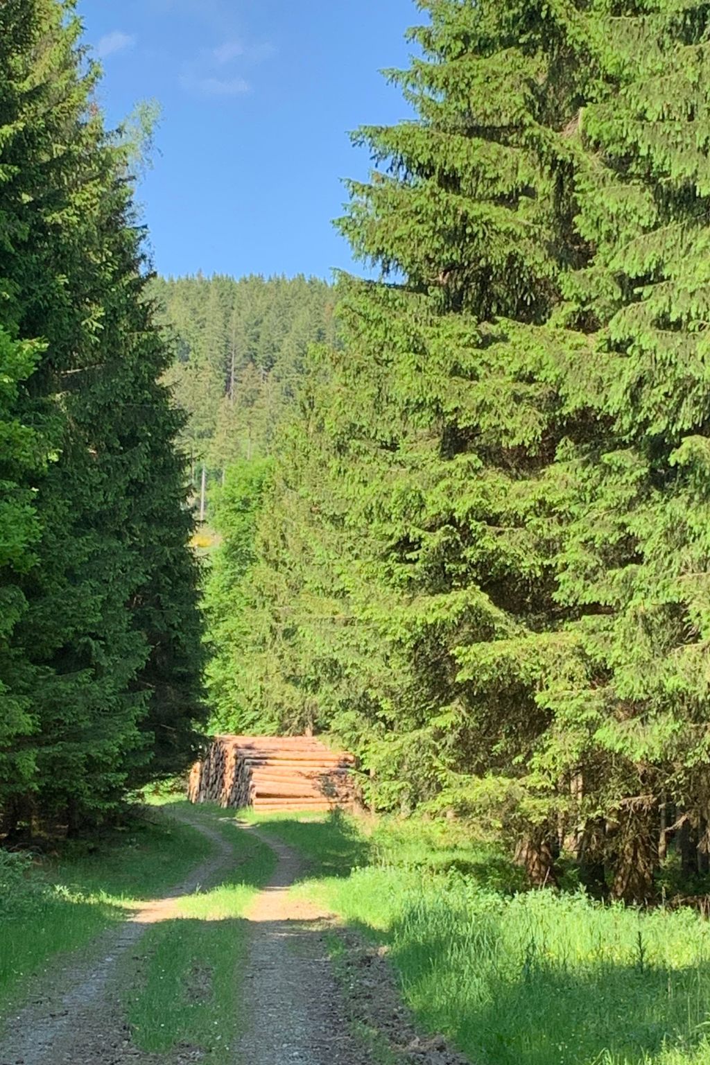 Mit eigener Terrasse-Drinnen