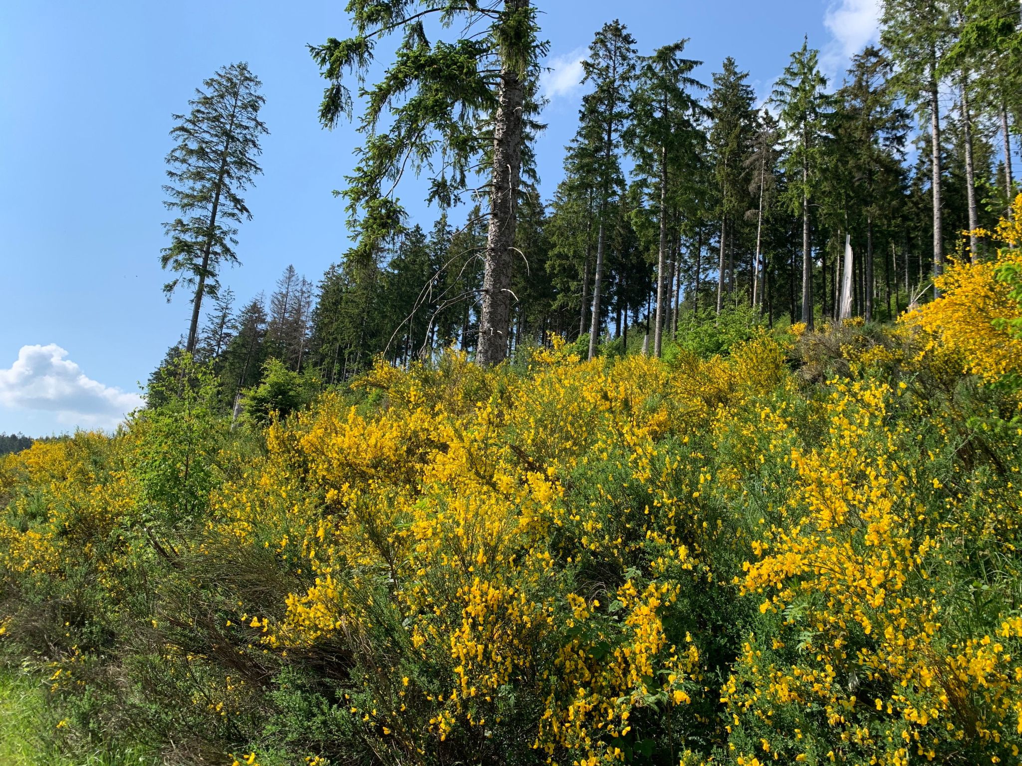 Mit eigener Terrasse-Drinnen