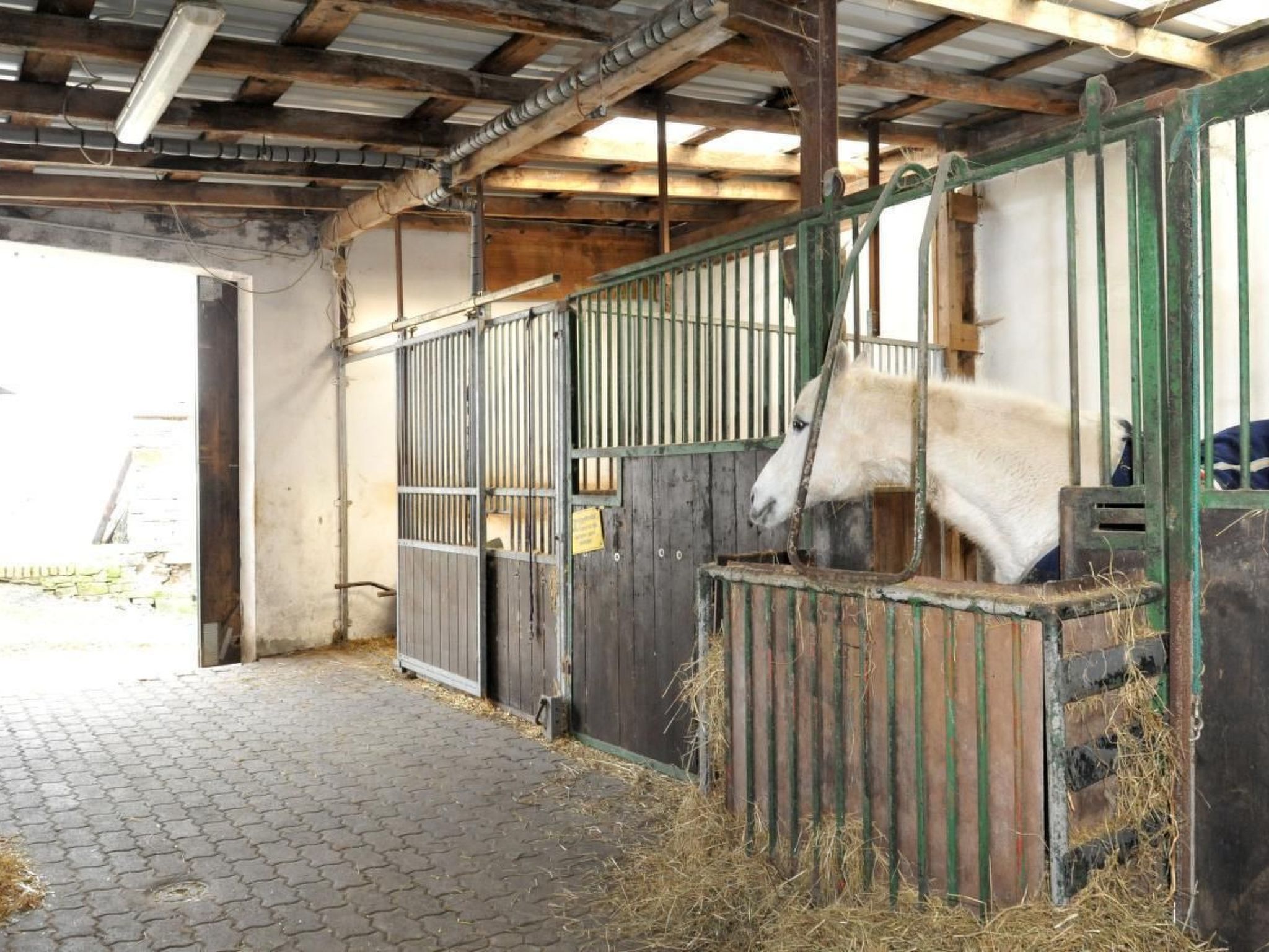 In Feldmannshof mit Grill und Garten-Binnen