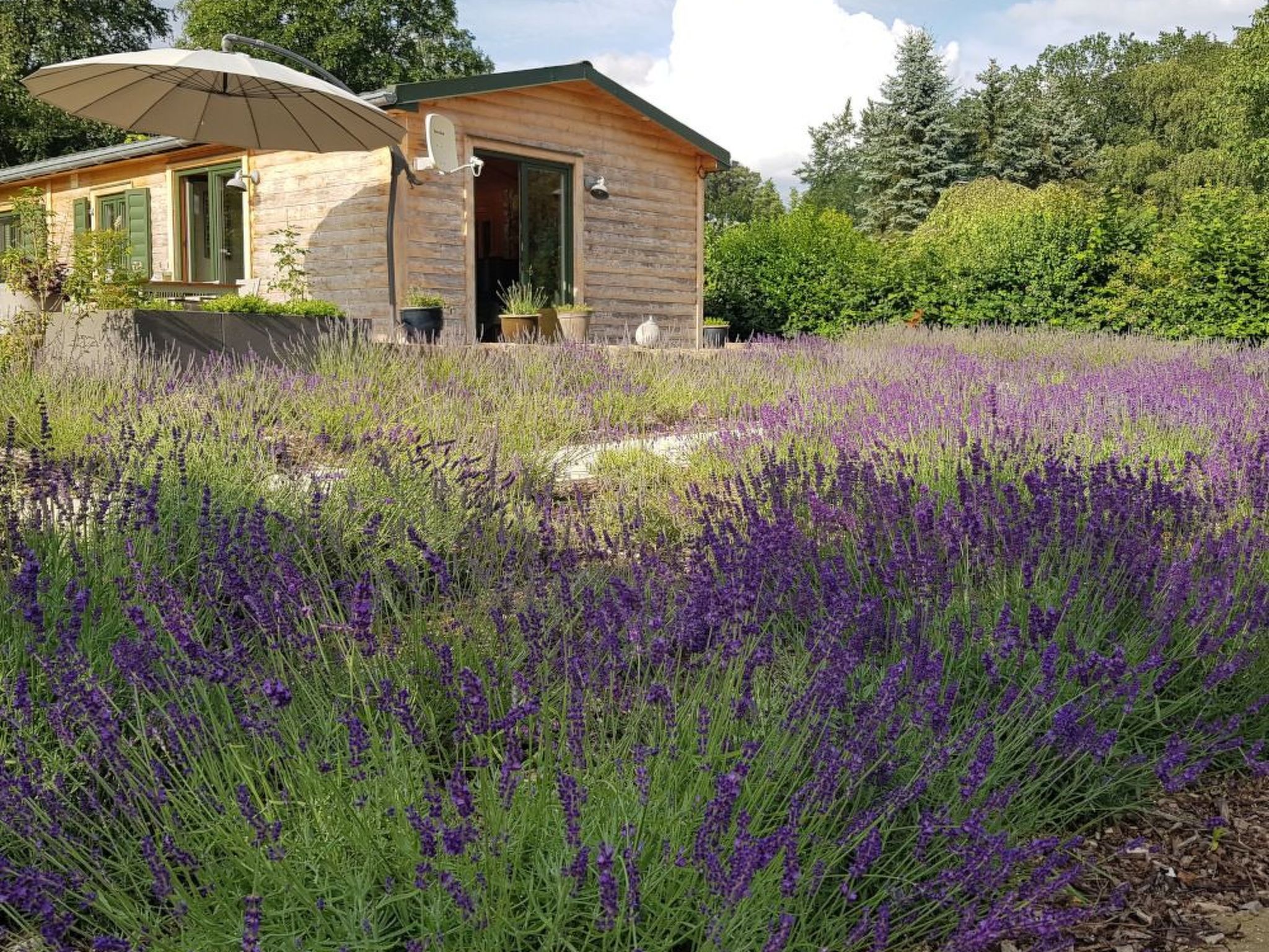In Atzenhain mit Großer Terrasse-Binnen