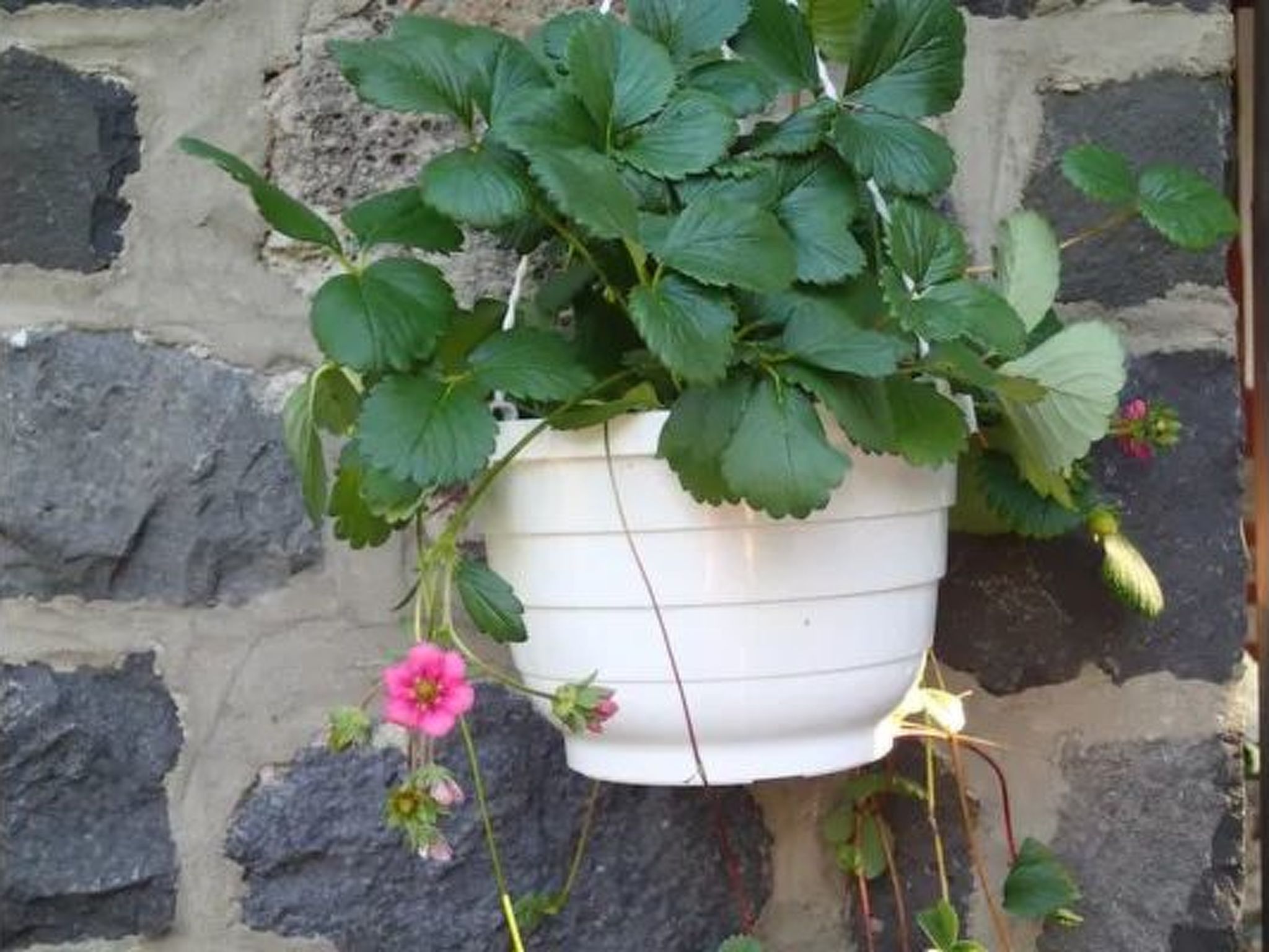 In Bernsfeld mit großem Garten-Image-tags.info