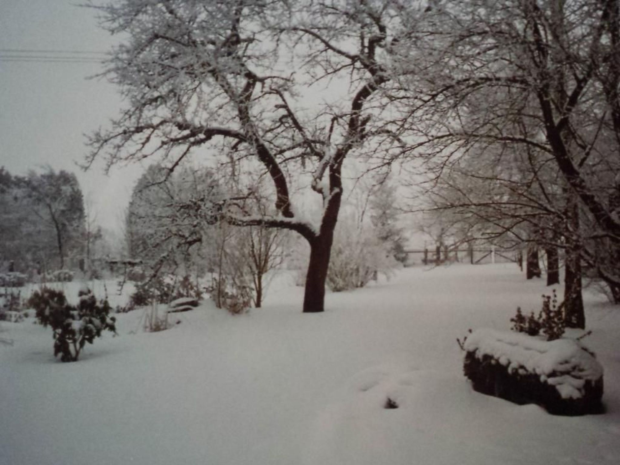 In Bernsfeld mit großem Garten-Image-tags.info