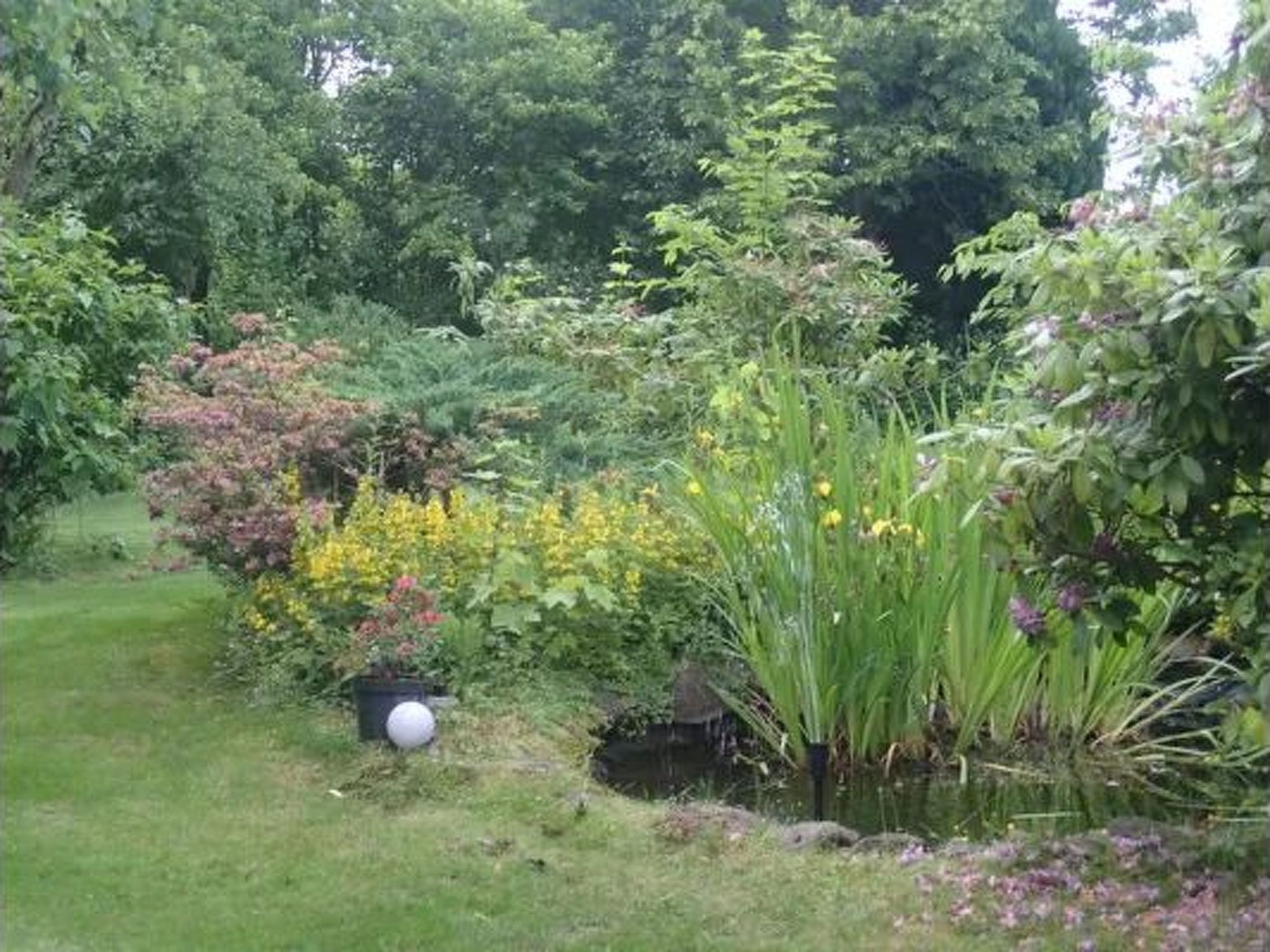 in Bernsfeld mit großem Garten