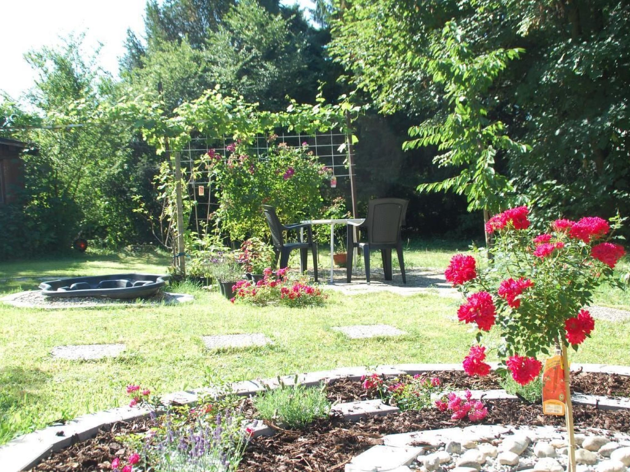 Elisa-Image-tags.info