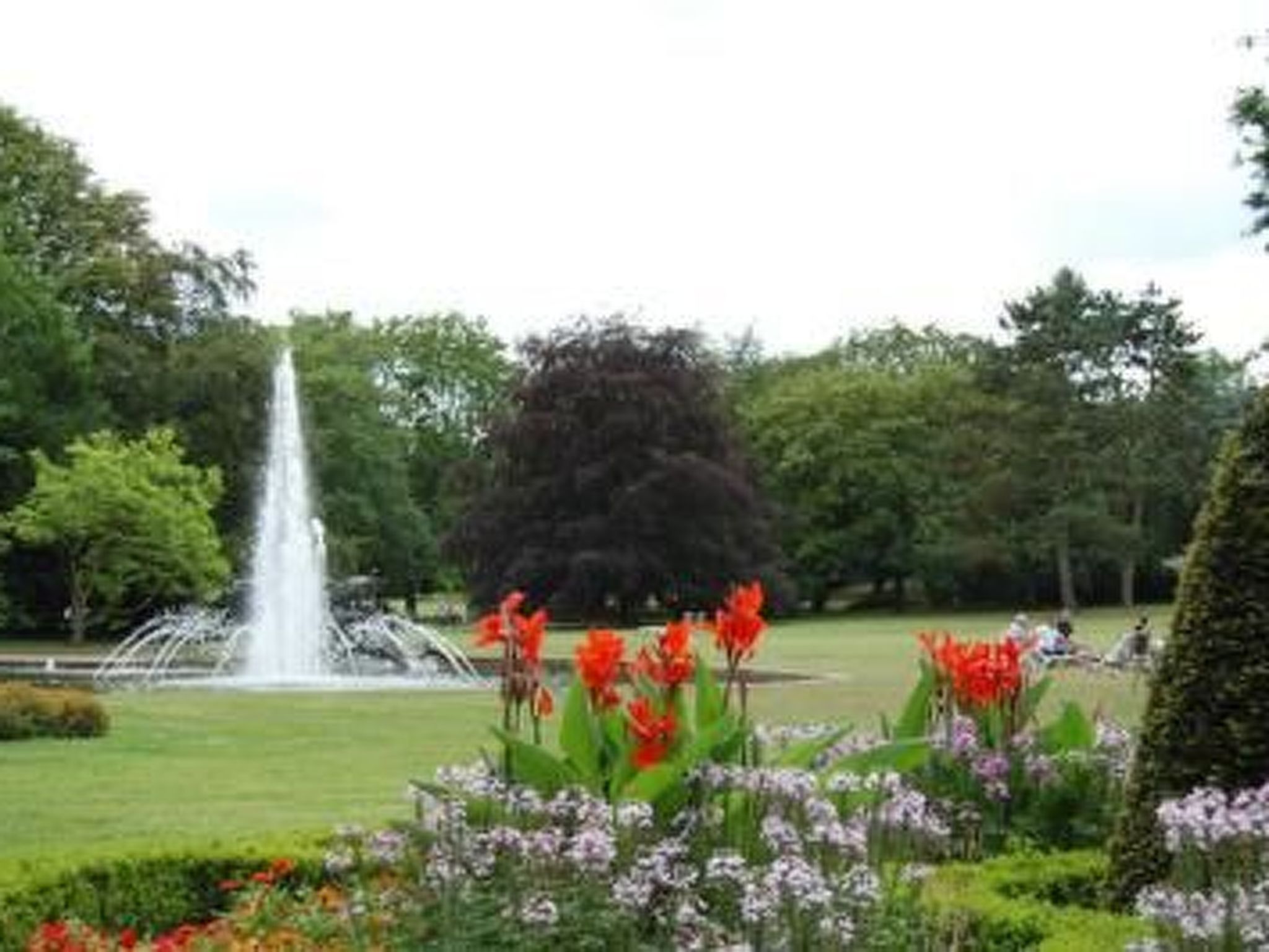 Elisa-Image-tags.info