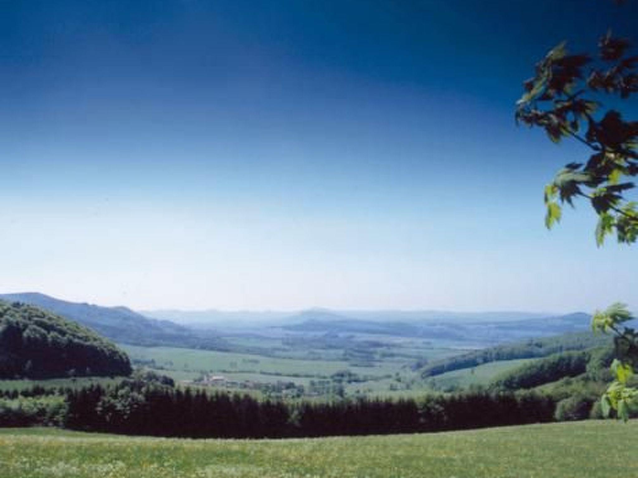 Renovierter Bungalow in Dörmbach-Binnen