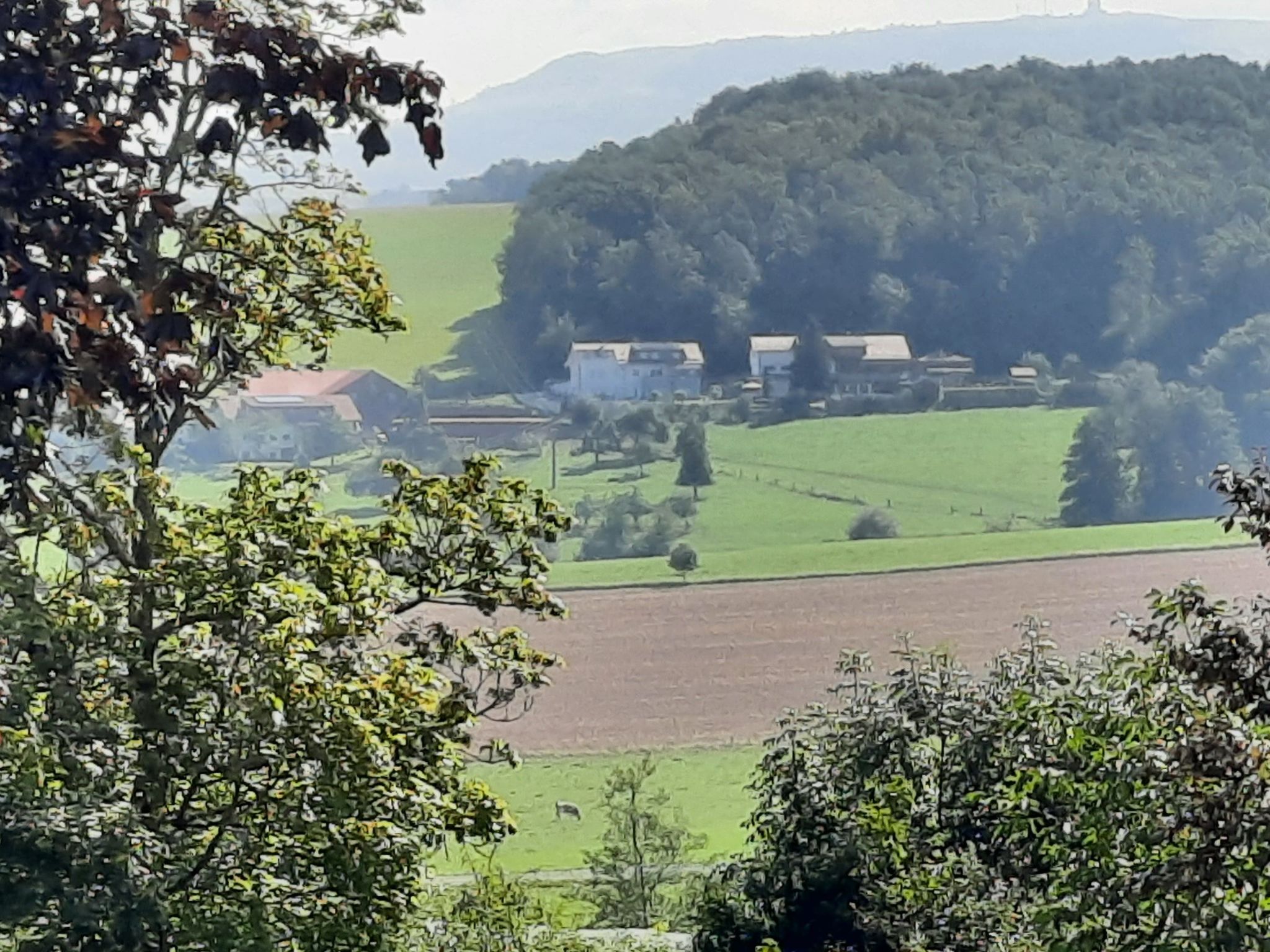 Renovierter Bungalow in Dörmbach-Binnen