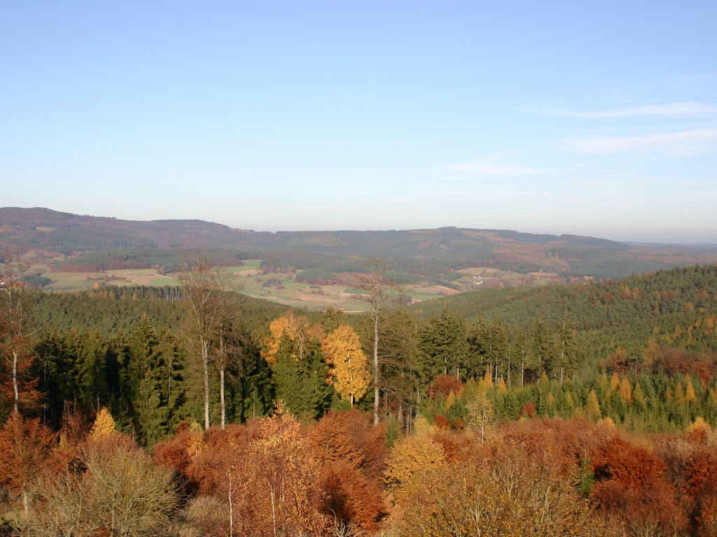 Bild 43