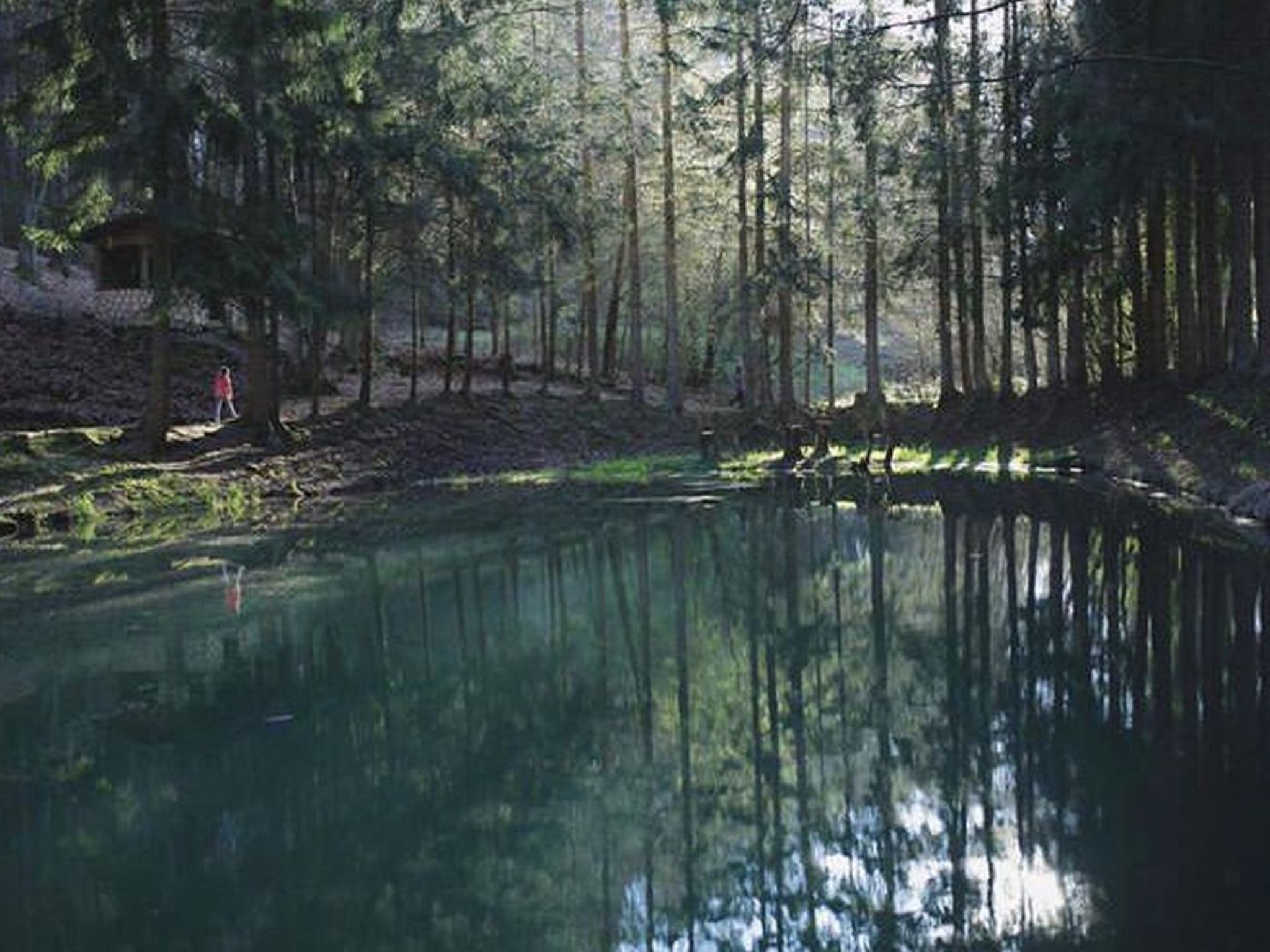 BärenNest Haus-Drinnen