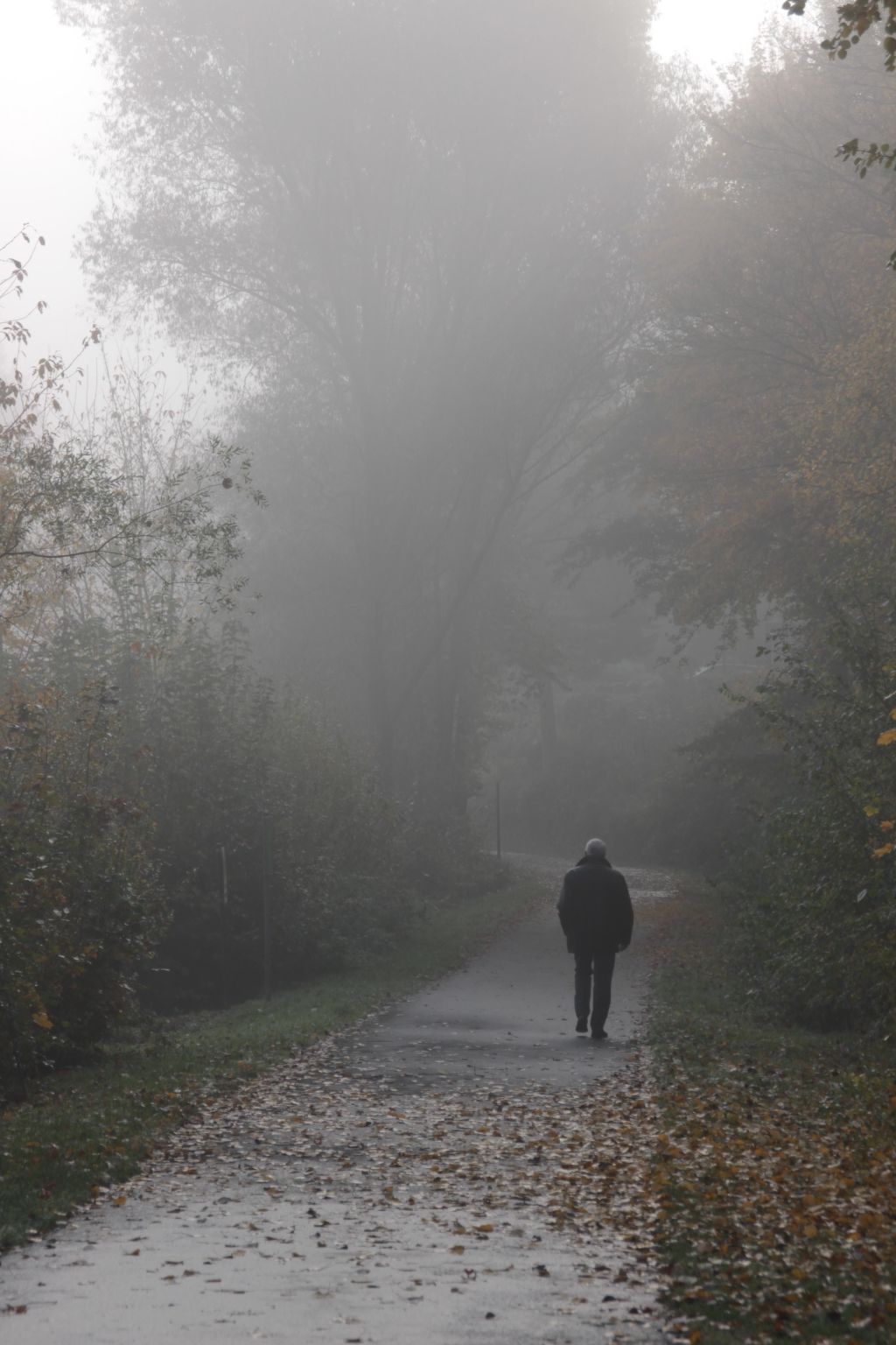 BärenNest Haus-Drinnen